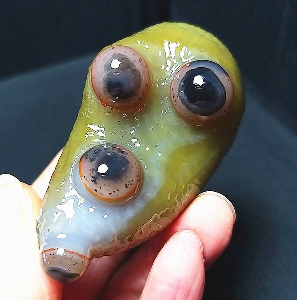 RARE 96.2G Natural Inner Mongolia Gobi Eye Agate Stone Collection AC888