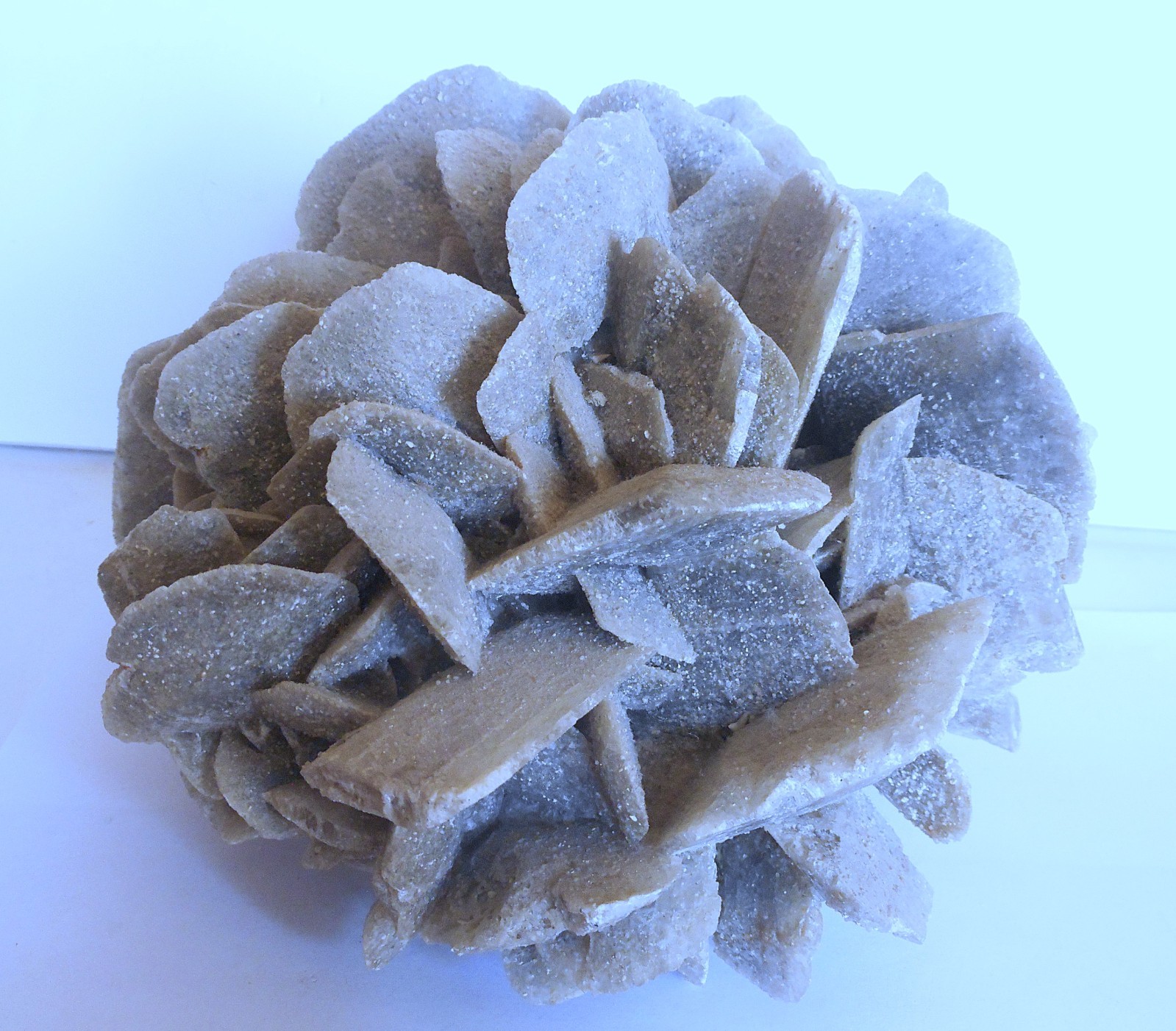 Huge Desert Rose Selenite. Natural. Gypsum. Saudi Arabia 9.0″ (23 cm). 7.1 Lb