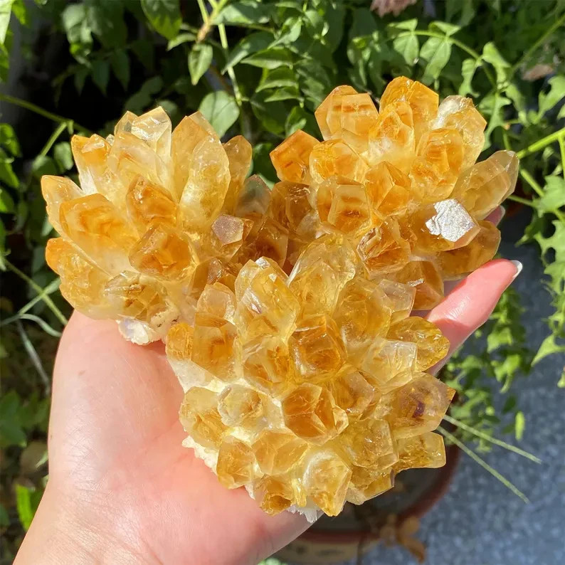 1pc Rare Citrine Quartz Cluster Healing Health Wealth Crystal Specimen Ornament
