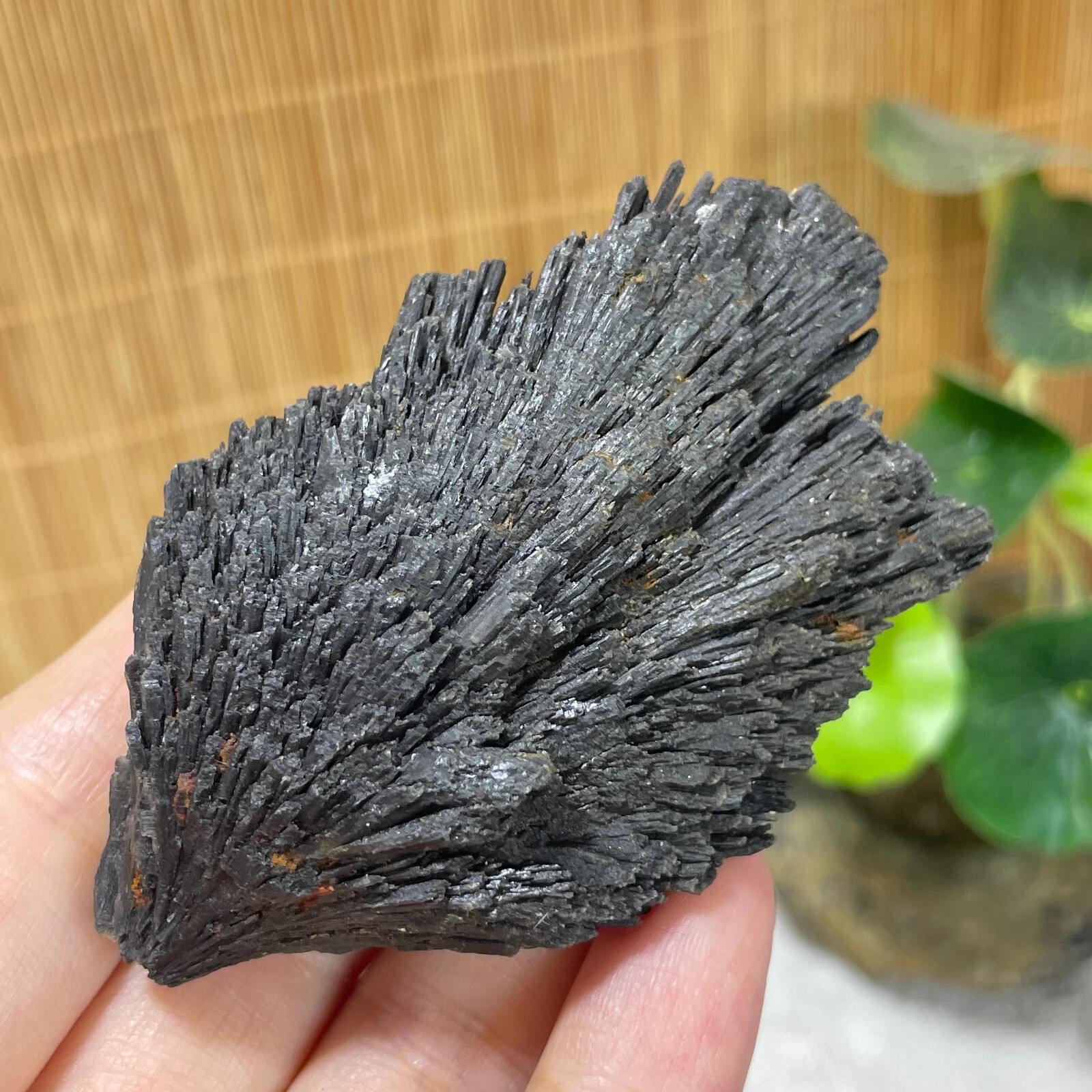 77g Natural Irregular natural black crystal cluster mineral specimen（dian qishi）
