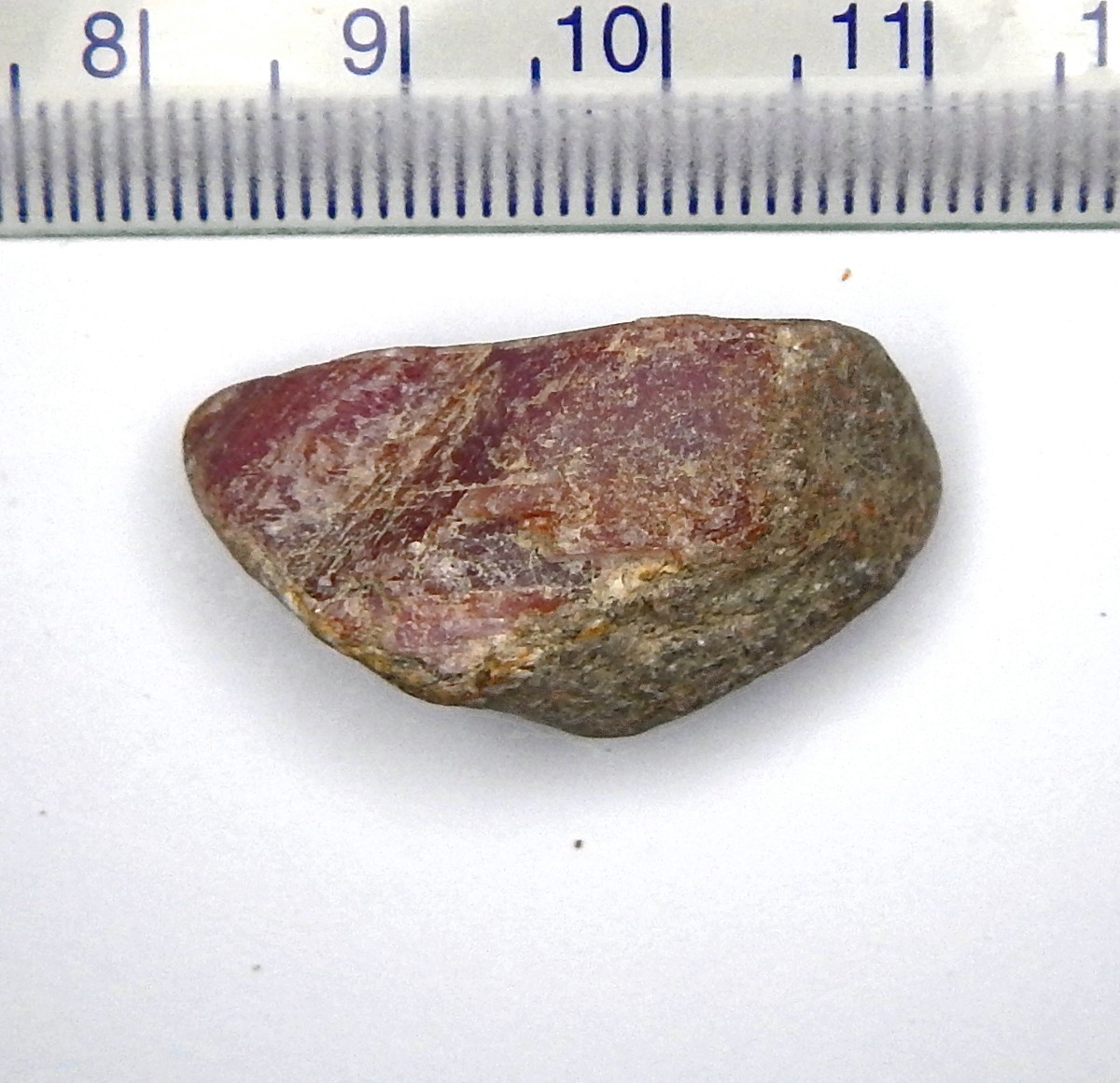 51.2ct Natural Mined Red Ruby Fluorescent Unheated Rough Spar Collector Grade