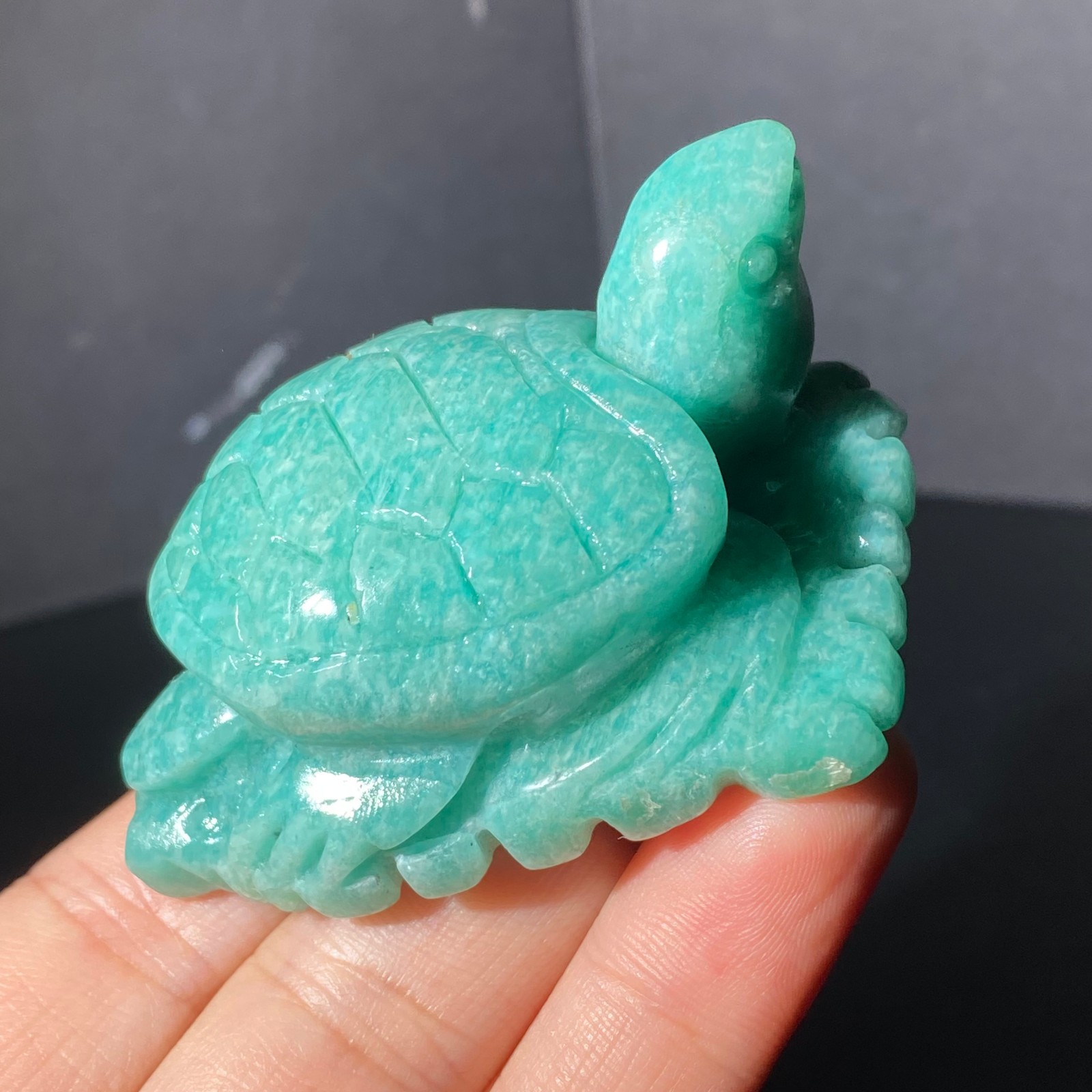 108G Natural Tianhe stone Turtle Quartz Tortoise Carved Crystal Skull Healing
