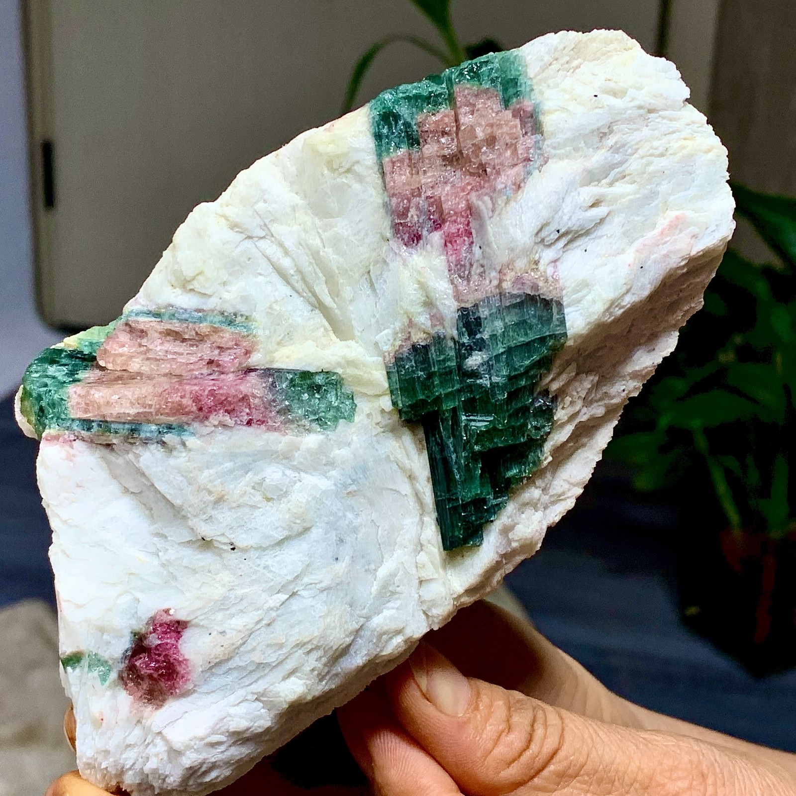 449G Natural pink-green tourmaline quartz crystal cluster mineral specimen