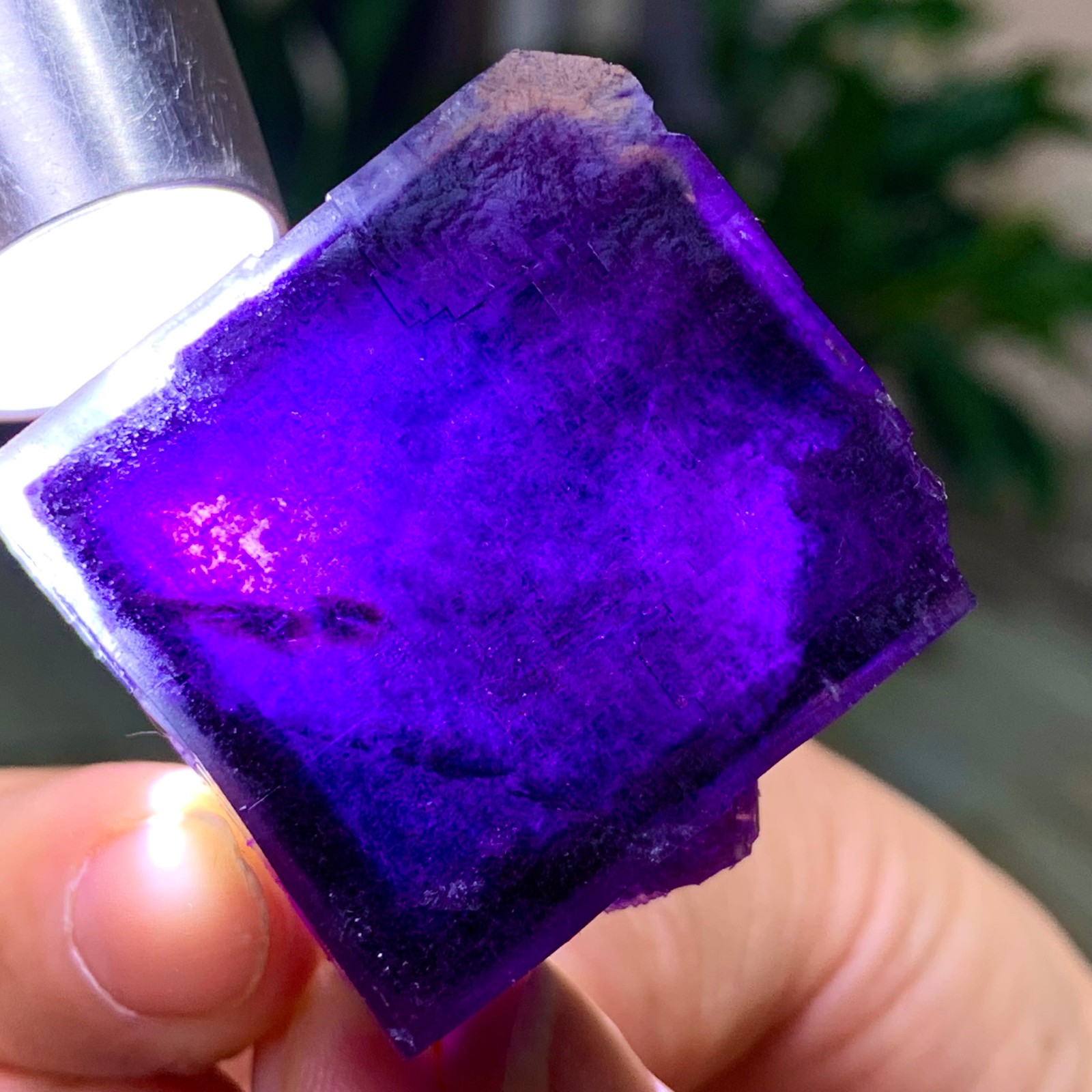 59G Inner Mongolia Natural Fluorite Purple Edged Cube Crystal Mineral Specimen