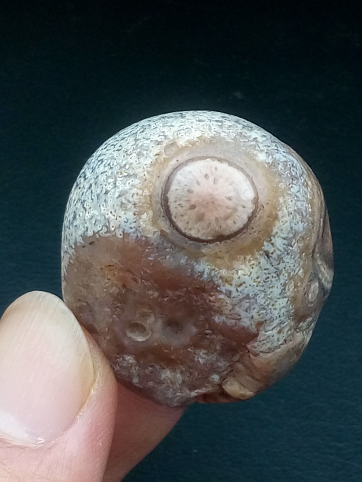 36mm Natural Gobi Agate eye agate collection