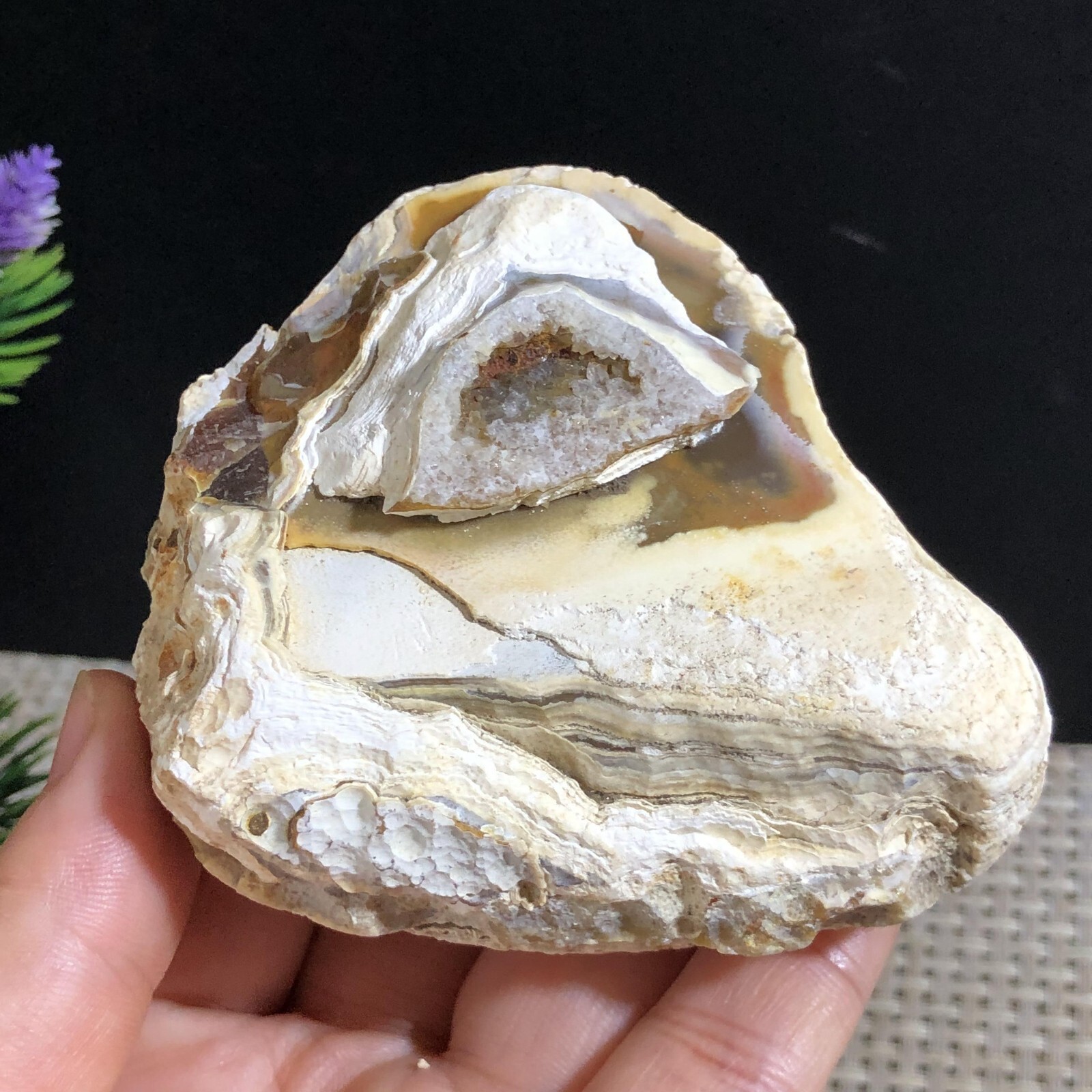 205g Bonsai Suiseki- Gobi Agate Eyes Stone-Rare Stunning Viewing #276