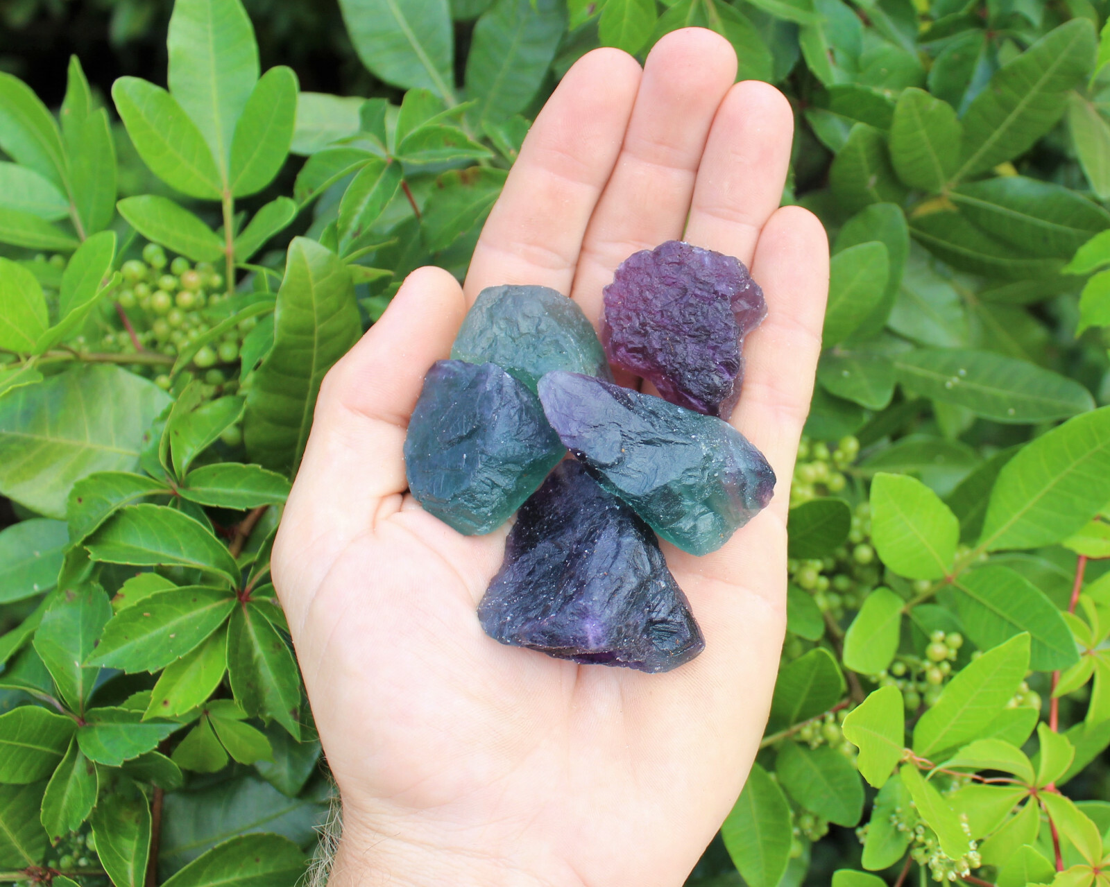 500 Carat Bulk Lot Natural Rough Fluorite (Raw Crystal Rock Healing 100 Grams)