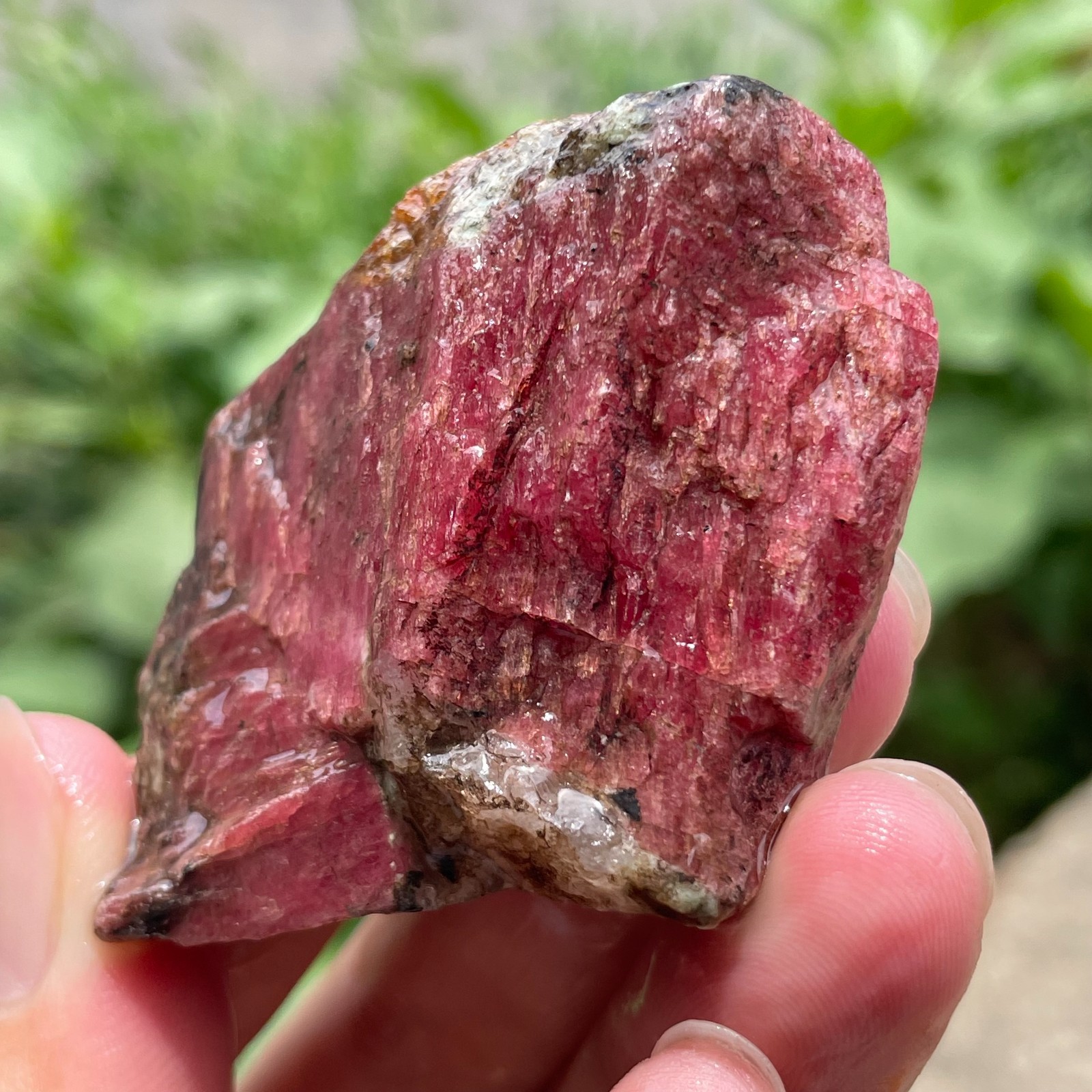 98g Small Raw Ore Red Black Rhodonite Quartz Gemstone Mineral Specimen