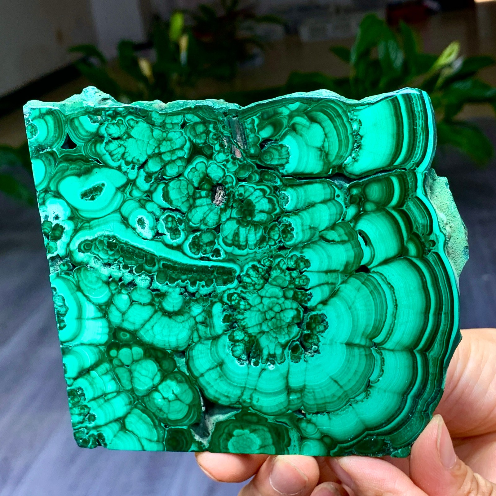 290G Natural glossy Malachite transparent cluster rough mineral sample