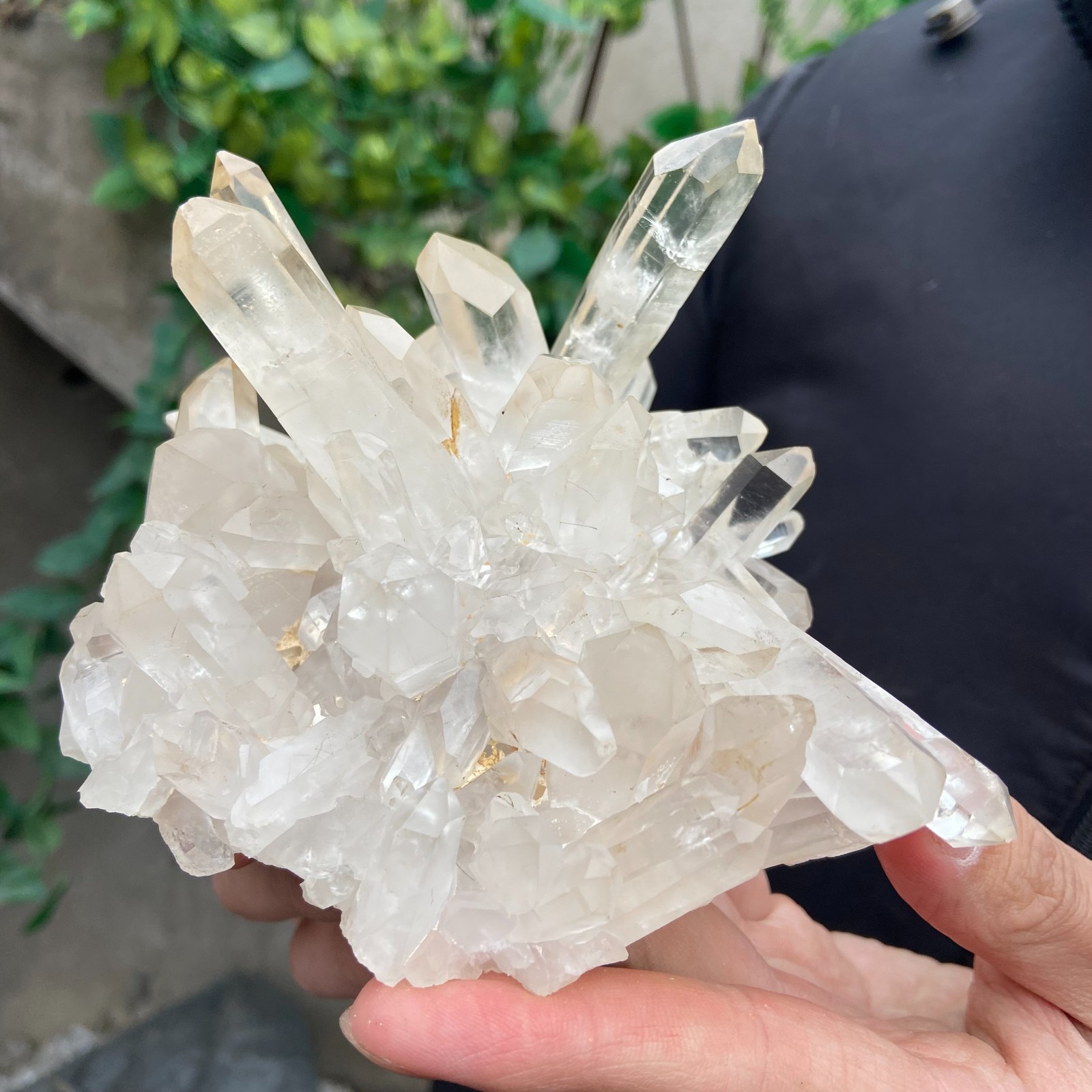 1.6lb Natural clear white quartz crystal cluster mineral specimen healing