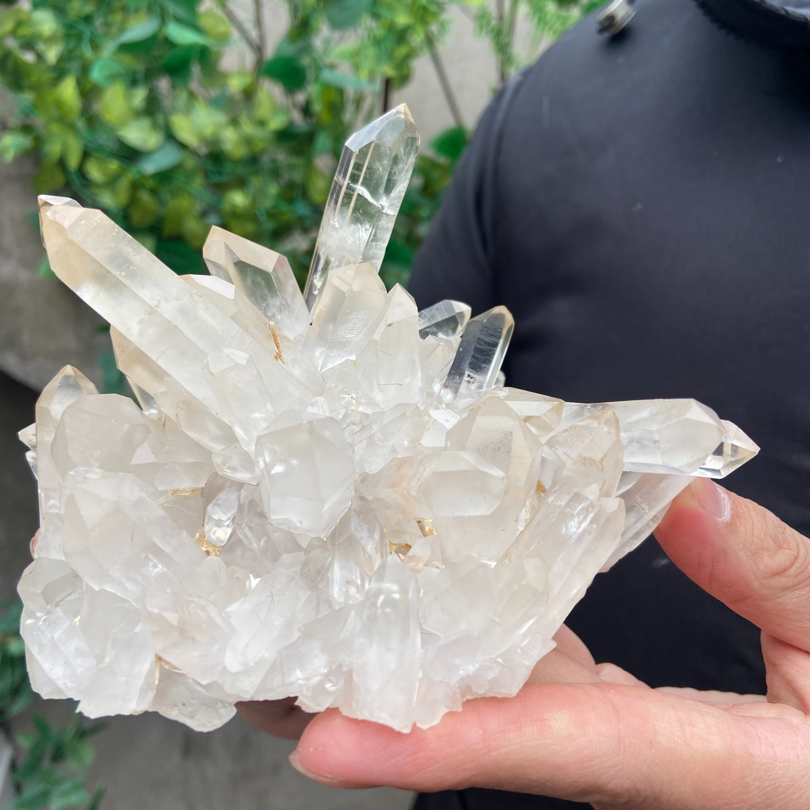 1.6lb Natural clear white quartz crystal cluster mineral specimen healing