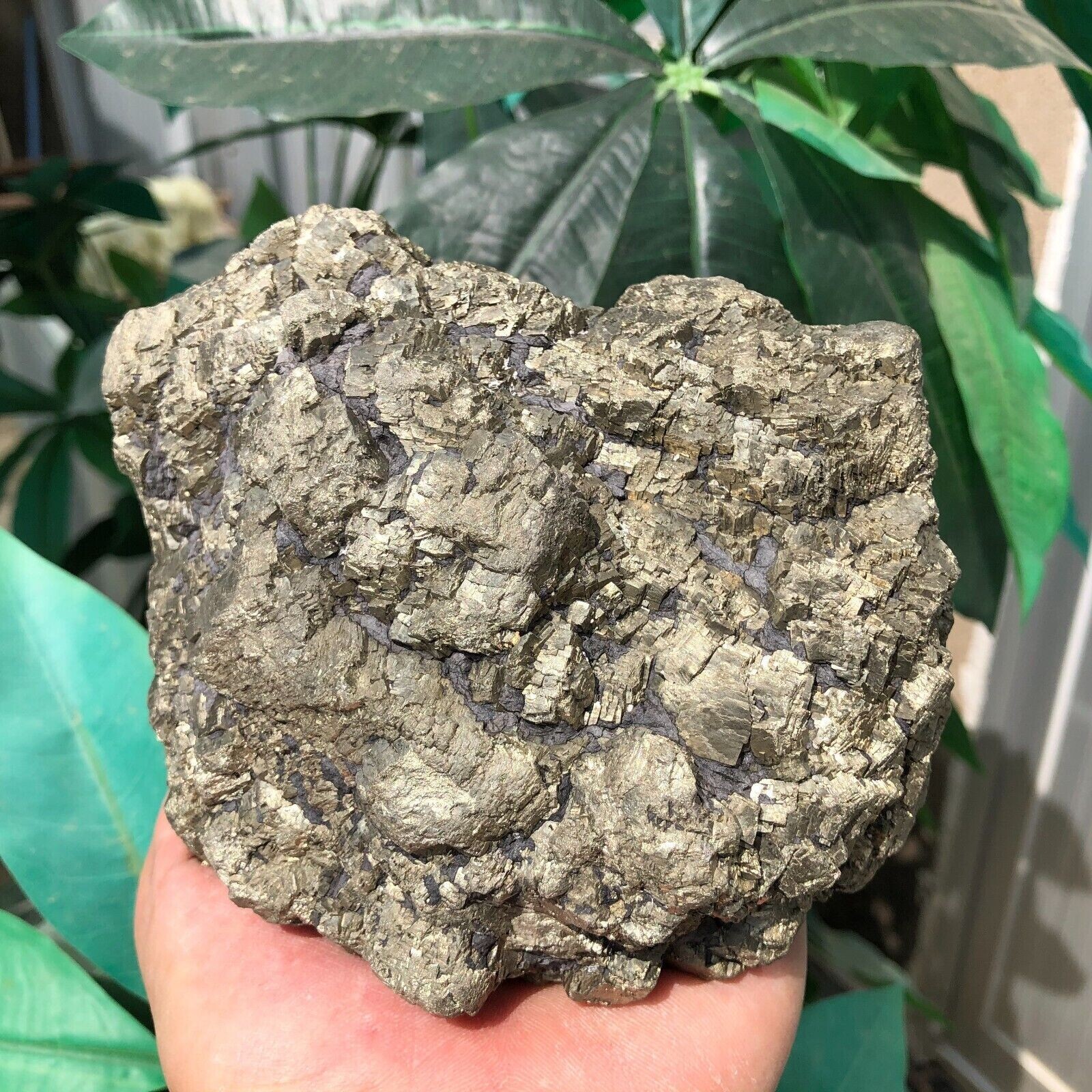 4.9 LB Natural Pyrite Raw Stone Quartz Crystal Mineral Specimen