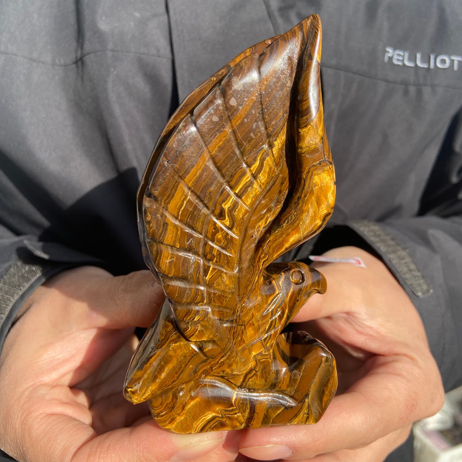 300g Natural Tiger-eye stone carved eagle-shaped quartz crystal mineral specime