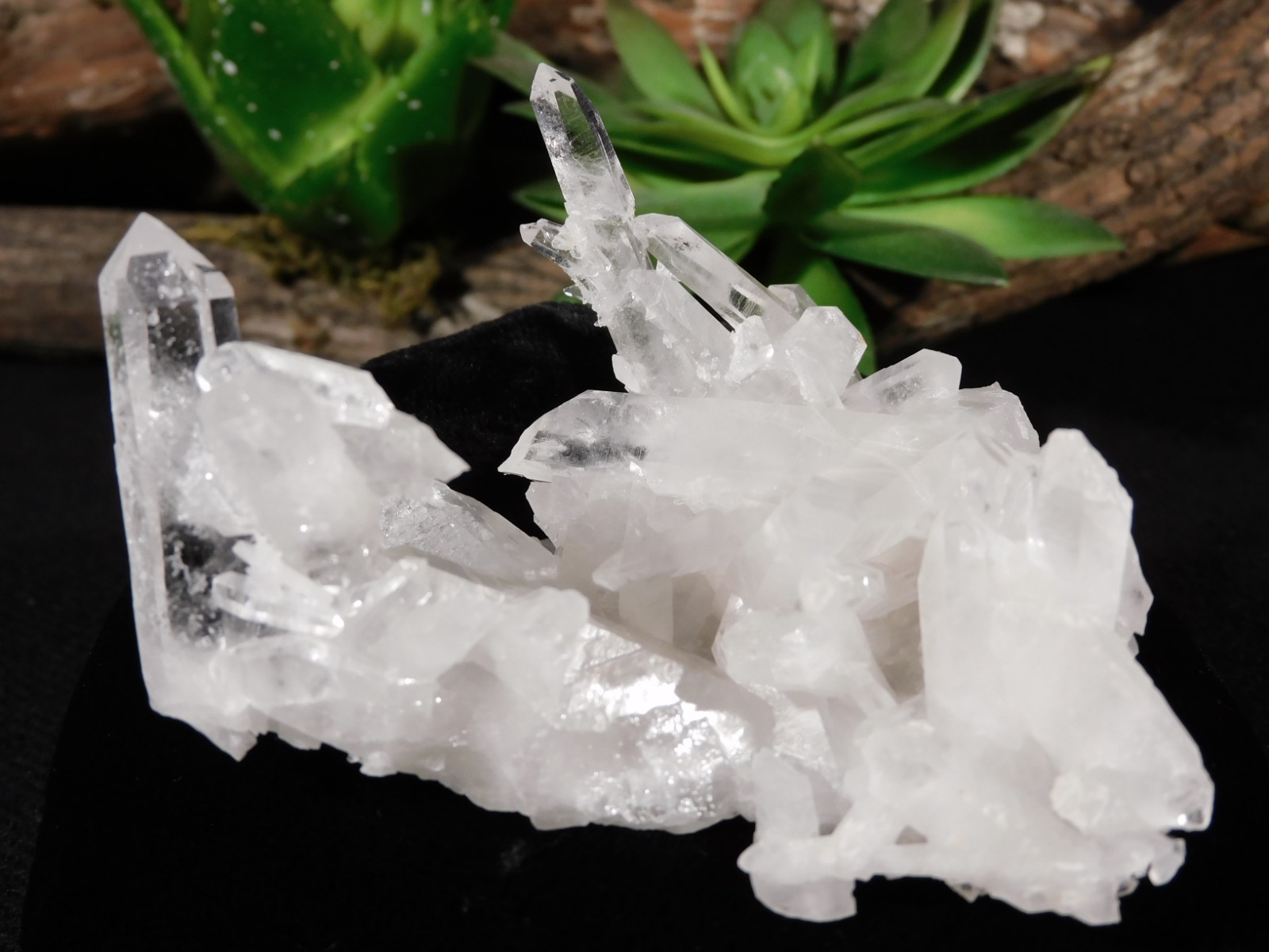 Twelve Points! TRANSLUCENT Quartz Crystal Cluster Collier Creek ARKANSAS 99.0gr