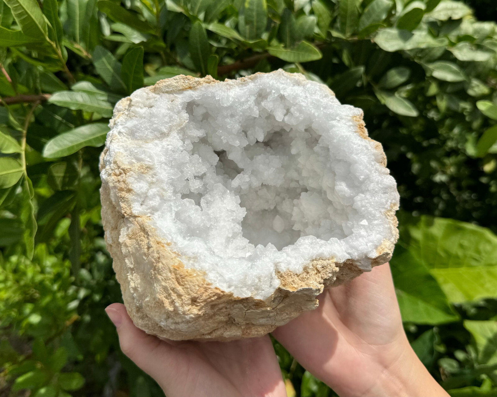 MASSIVE Sugar Quartz Geodes – Natural Crystal Geode Specimens From Morocco