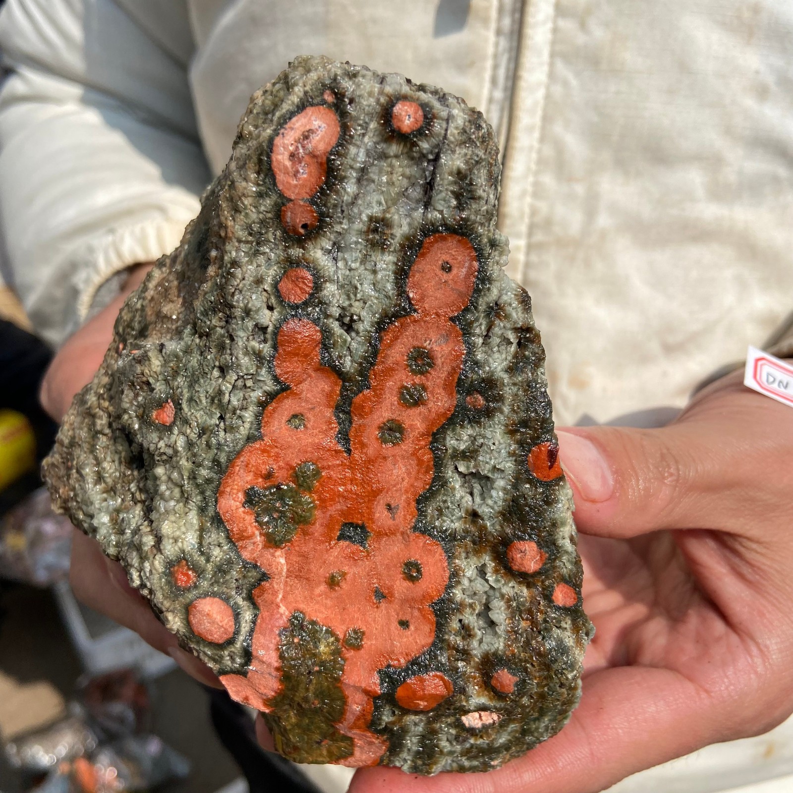 2.5lb Natural colourful ocean jasper raw stone crystal rough mineral specimen