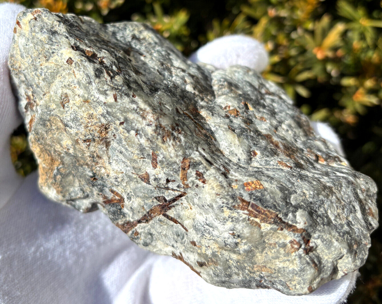 USA SALE SEE VIDEO 4″ 309g 2/3LB AUTHENTIC ASTROPHYLLITE ROUGH SPECIMEN LAPIDARY