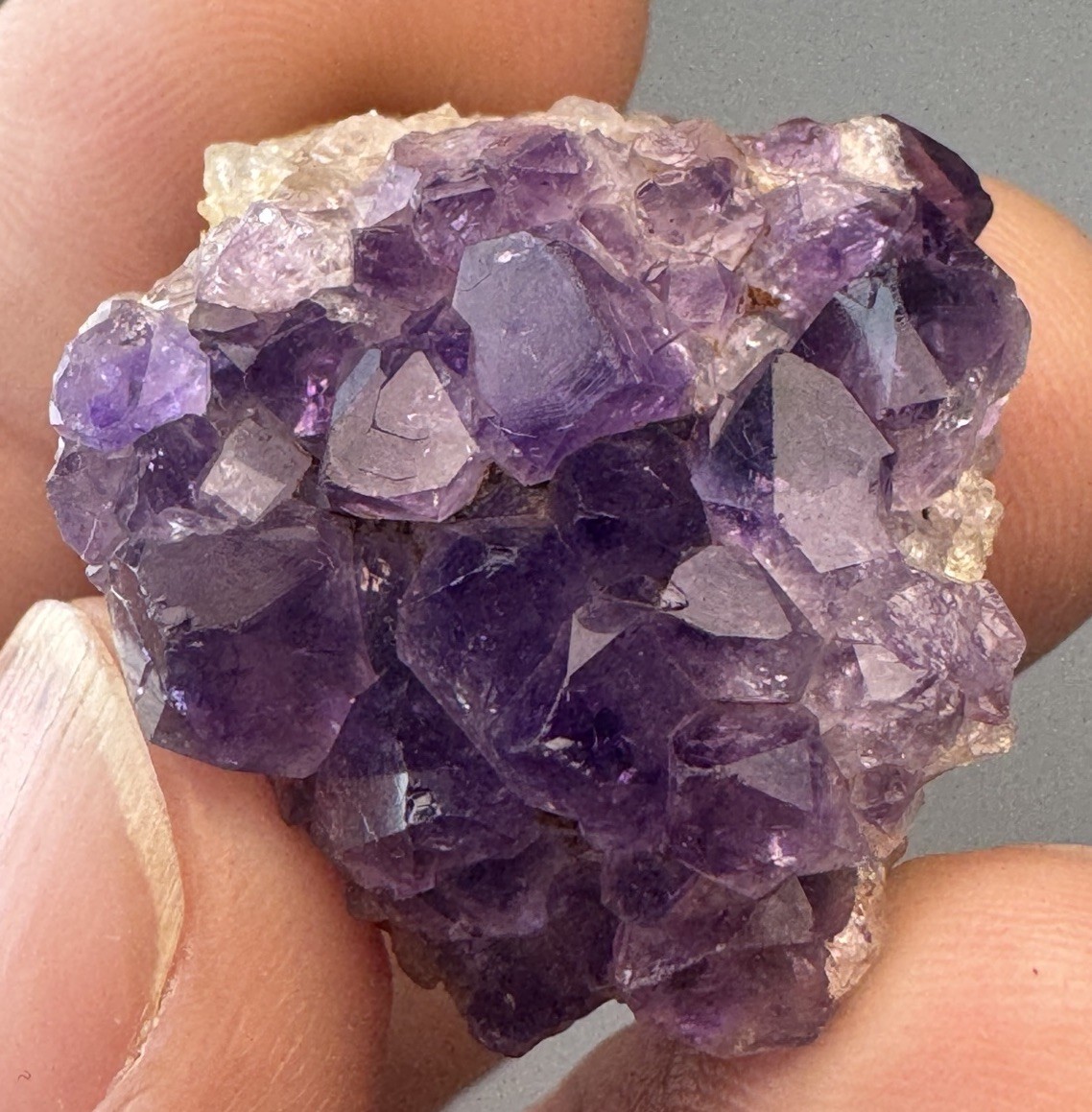 Druzy Deep Royal Purple Amethyst Collector 5 Piece Cluster Set From Brazil
