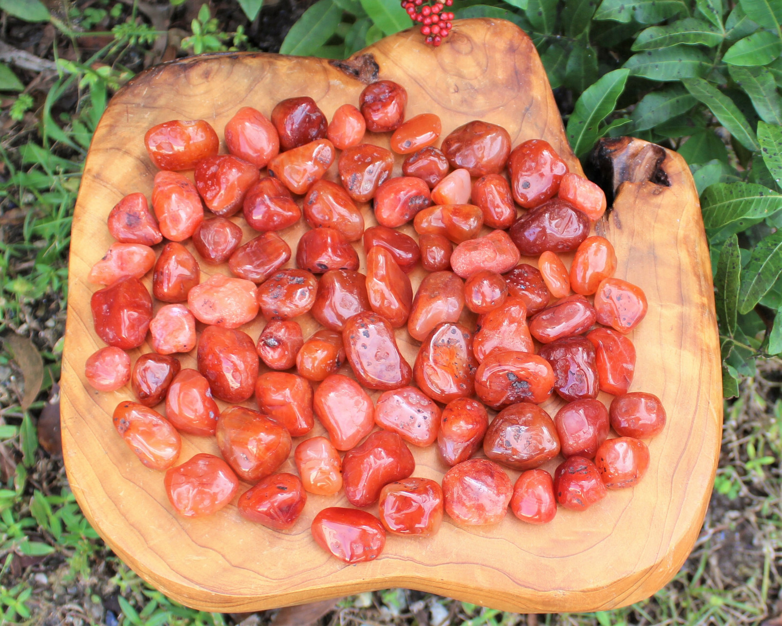 2 Carnelian Tumbled Stones, Medium (Crystal Healing Gemstone Reiki) US Seller