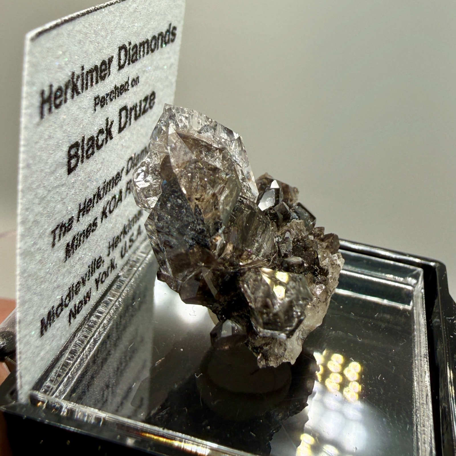 Herkimer Diamond Perchers on Rare Black+Gray Druze, Gem Points w/ Phantoms