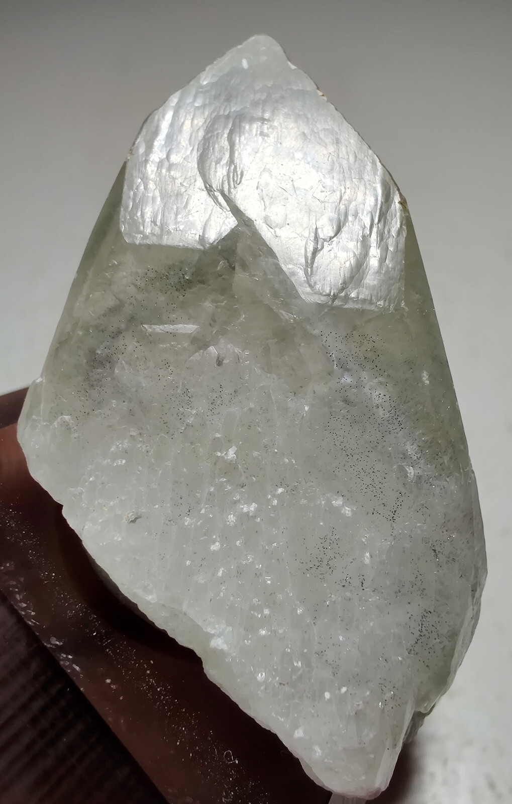 Phantom Calcite crystal with Marcasite. Vulcan Quarry, Racine, Wisconsin. 5 cm.