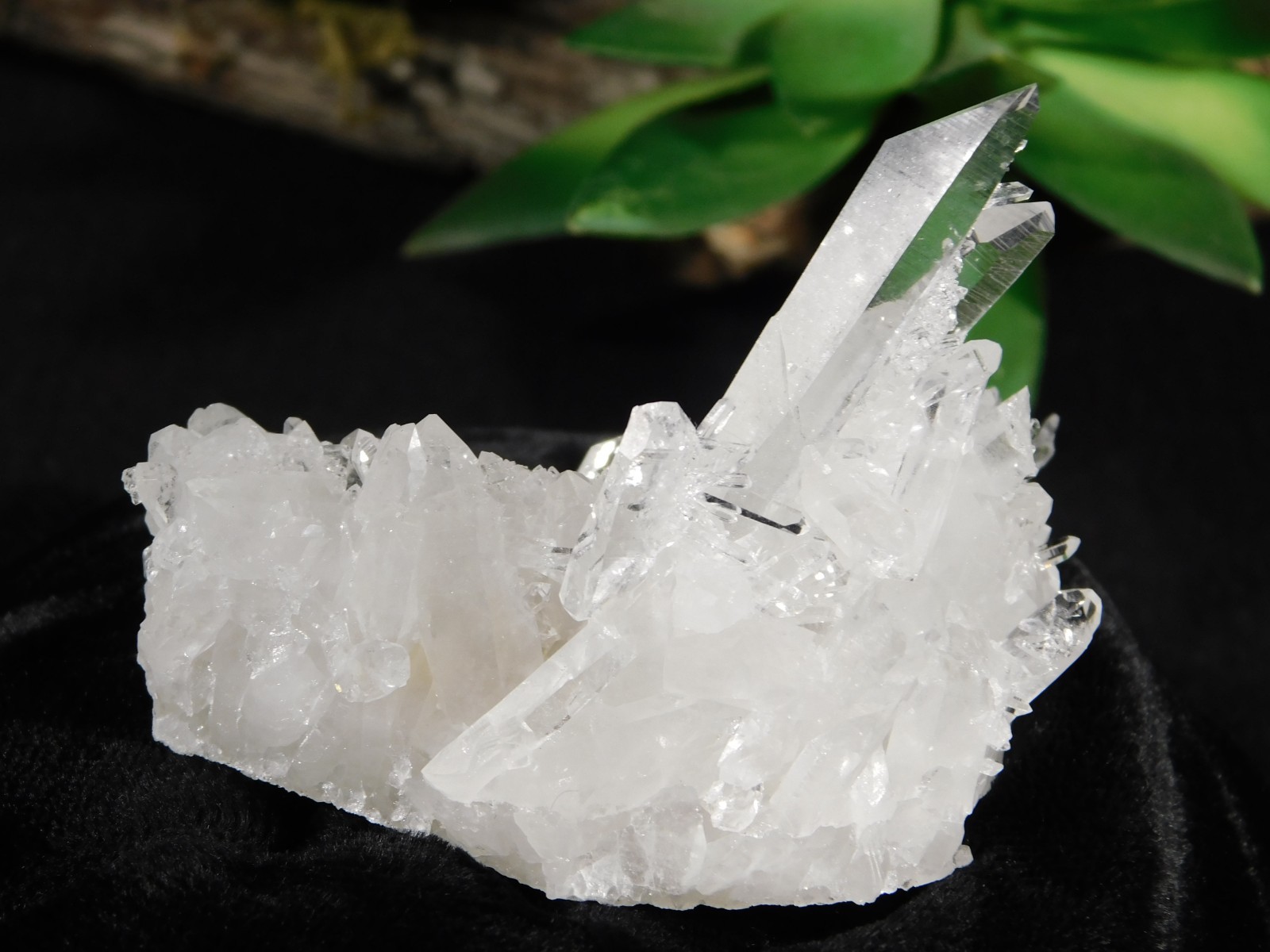 SUPER! TRANSLUCENT Quartz Crystal Cluster Collier Creek ARKANSAS 75.2gr