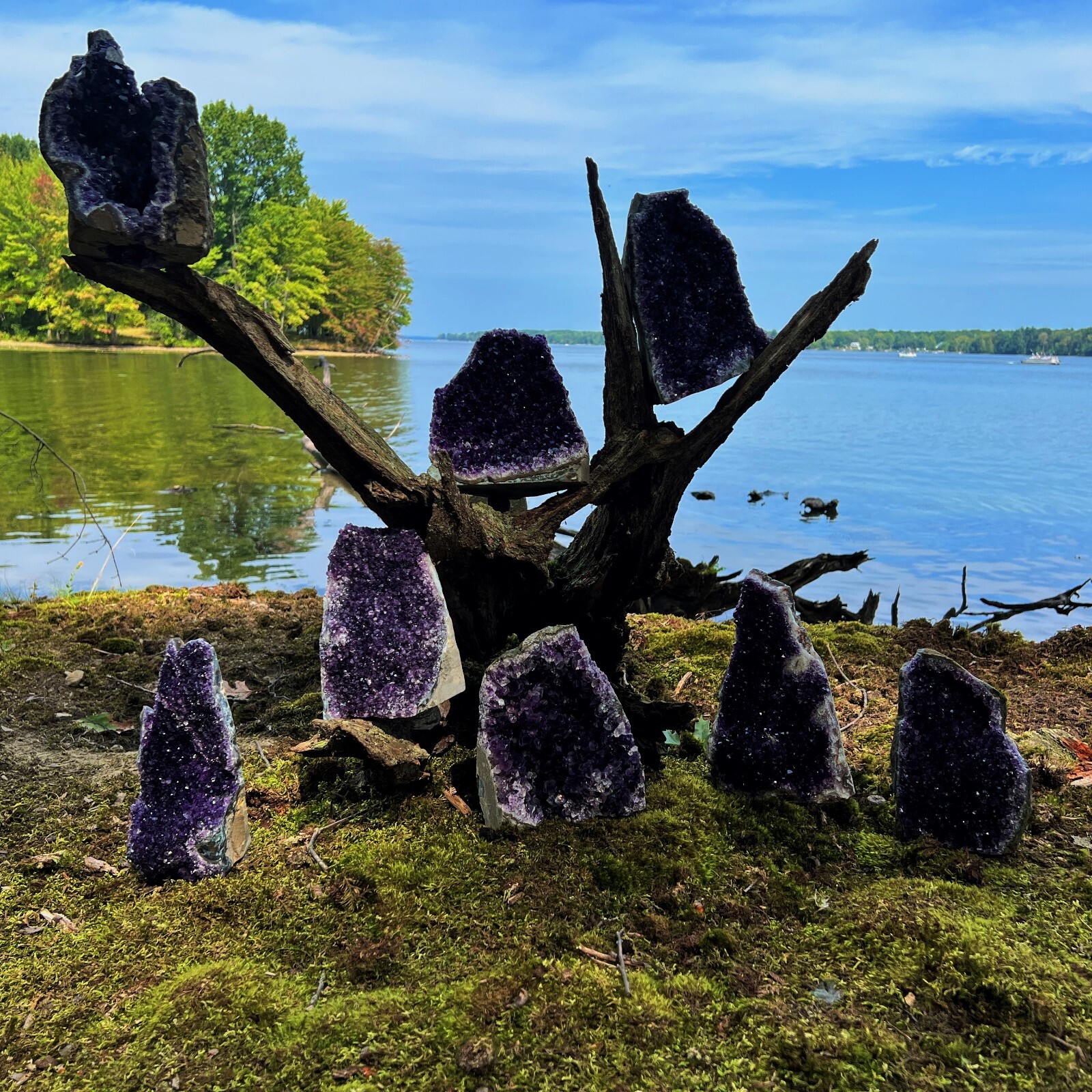 HUGE XXXL LARGE Amethyst Druze Crystal Cluster With Cut Base Specimen ~ 4-6 Lbs