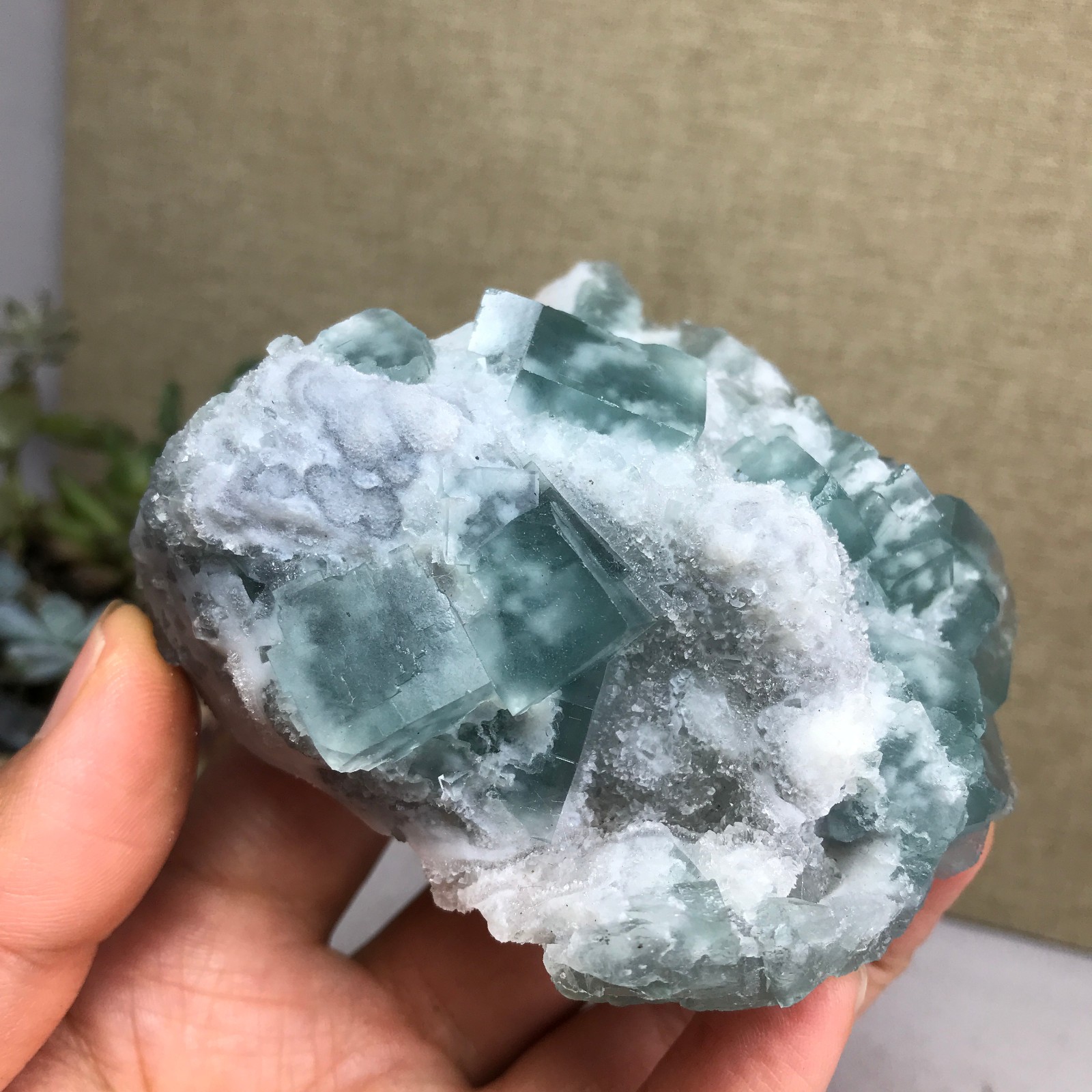 271g NATURAL Green Cubic FLUORITE paragenesis Crystal Cluster Specimen A4776