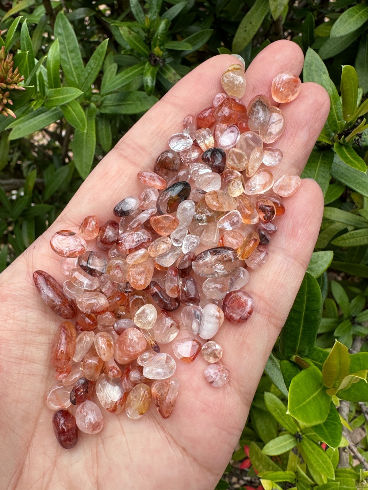 Fire Quartz Semi Tumbled Gemstone Mini Chips 5 – 11 mm, Wholesale Bulk Lot