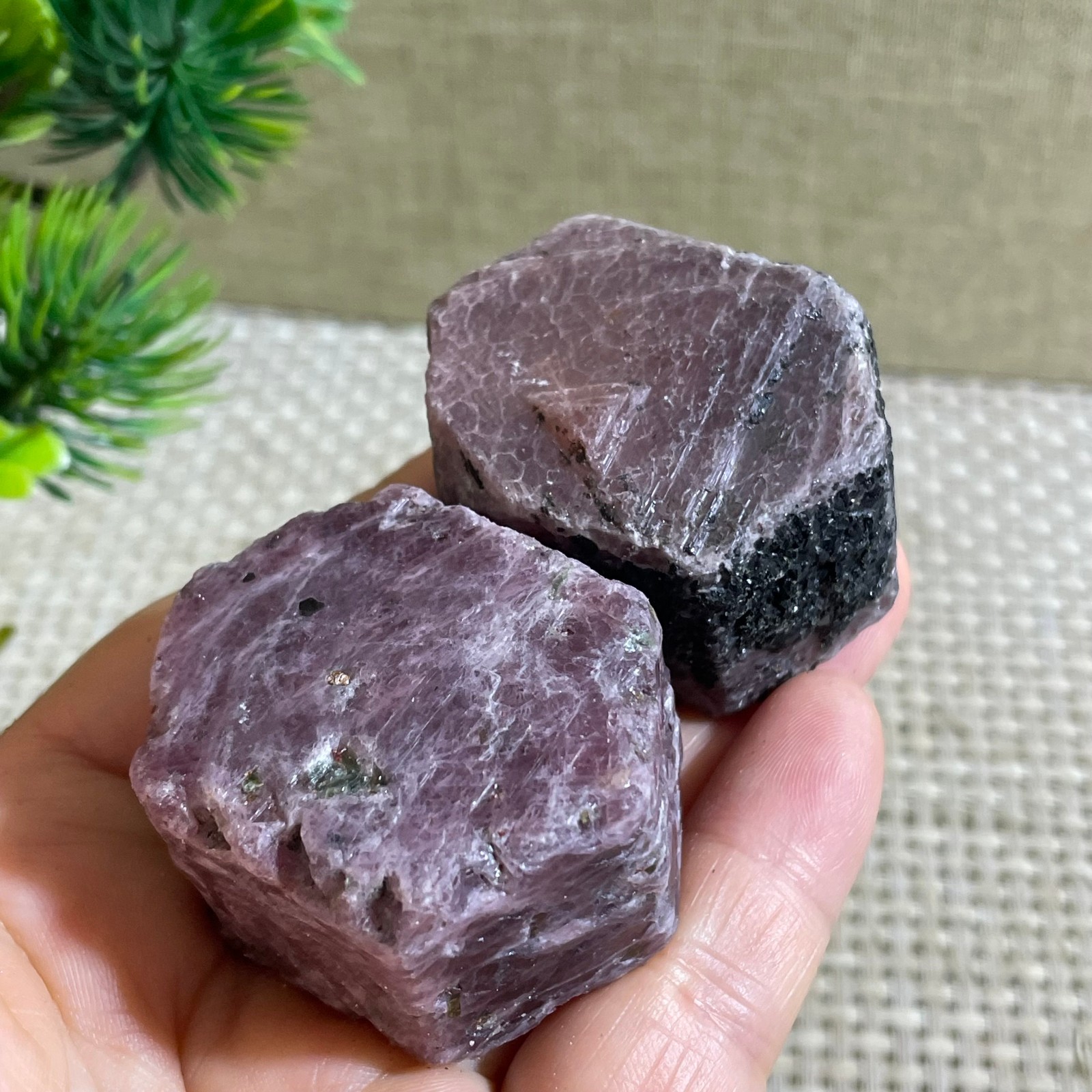 221g Natural Red Corundum Ruby Crystal Rough Mineral Specimen reiki Healing 2pcs