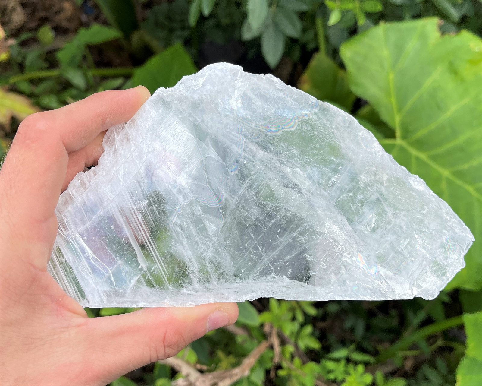 JUMBO Natural Selenite Slabs & Stand! Raw Selenite Slice, Selenite Crystal Plate