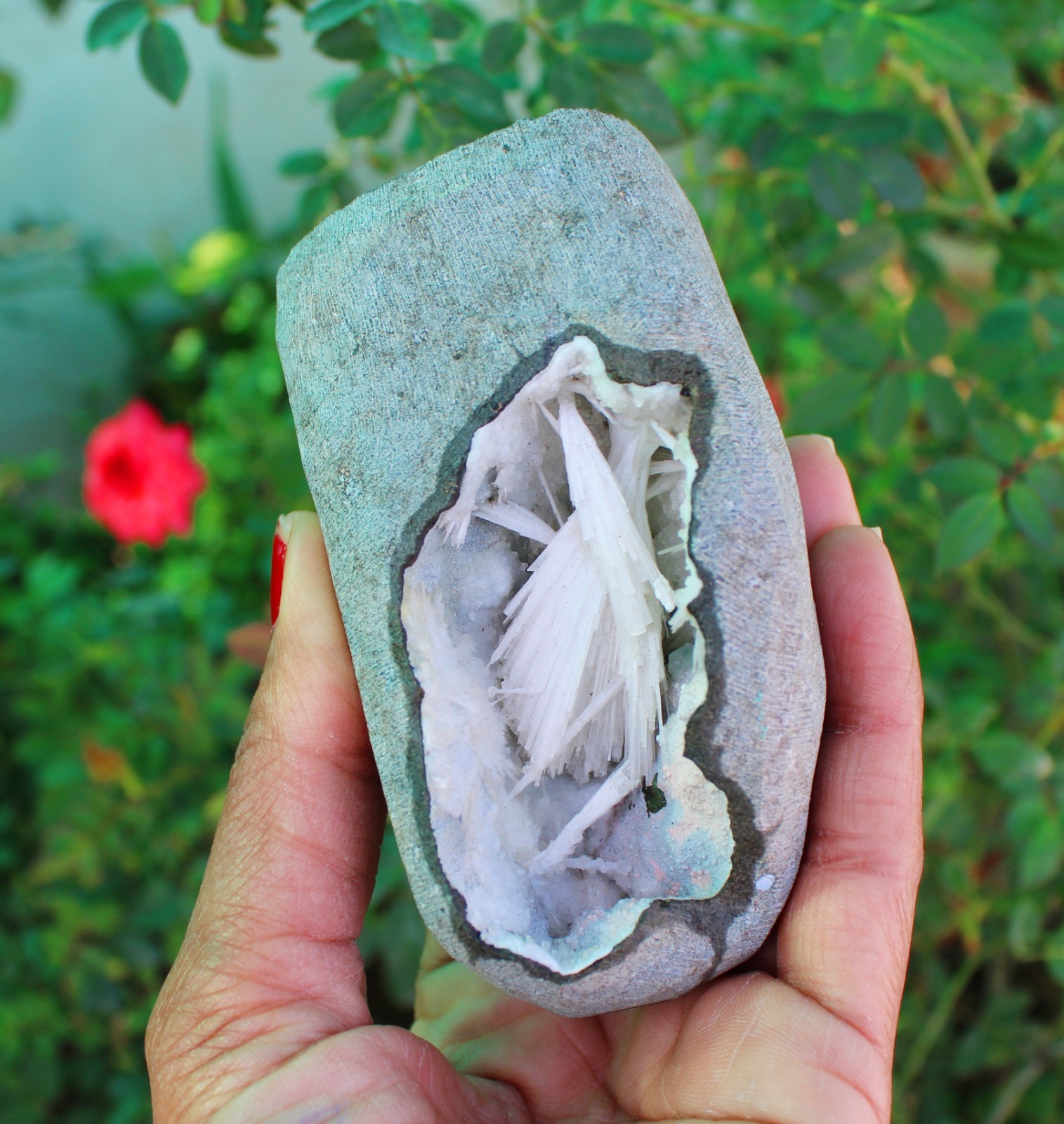Scolecite Format In Geode Minerals Specimen#A9