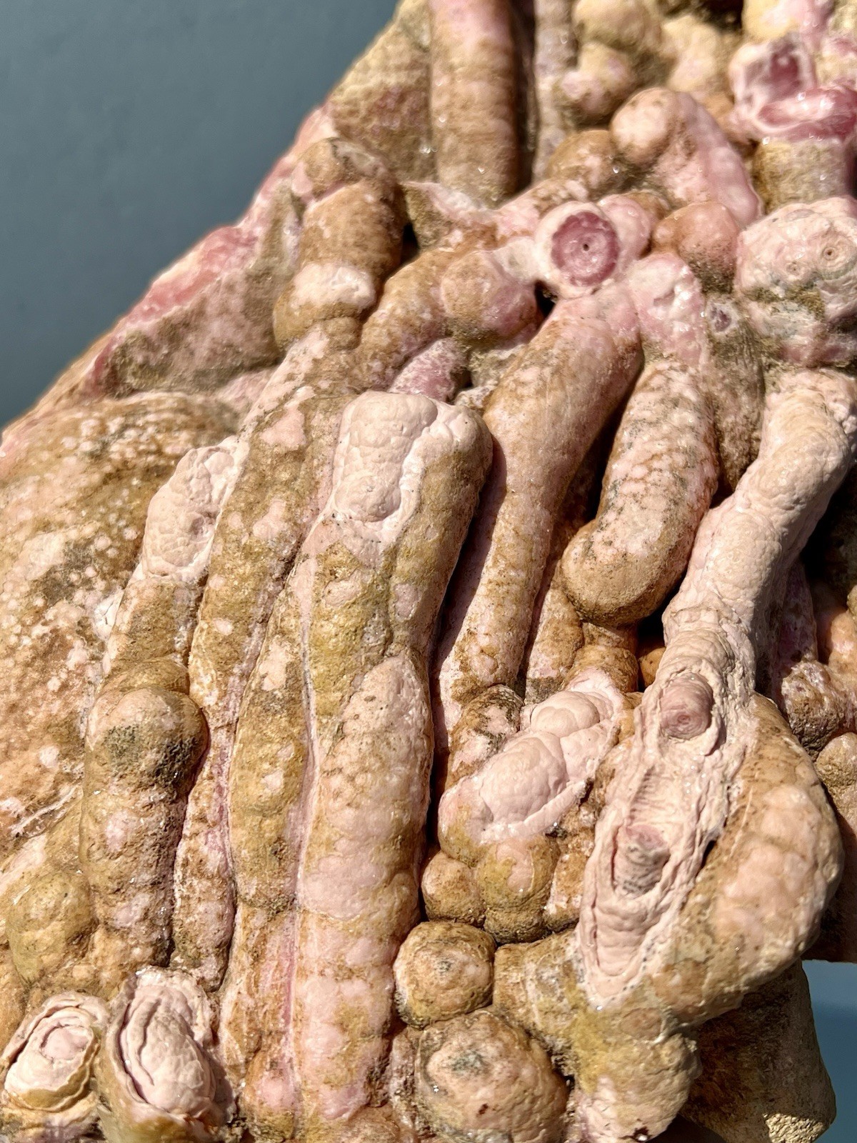 6.8 Pound: Rhodochrosite Stalactite Cluster Massive Ortiz, Capillitas, Argentina