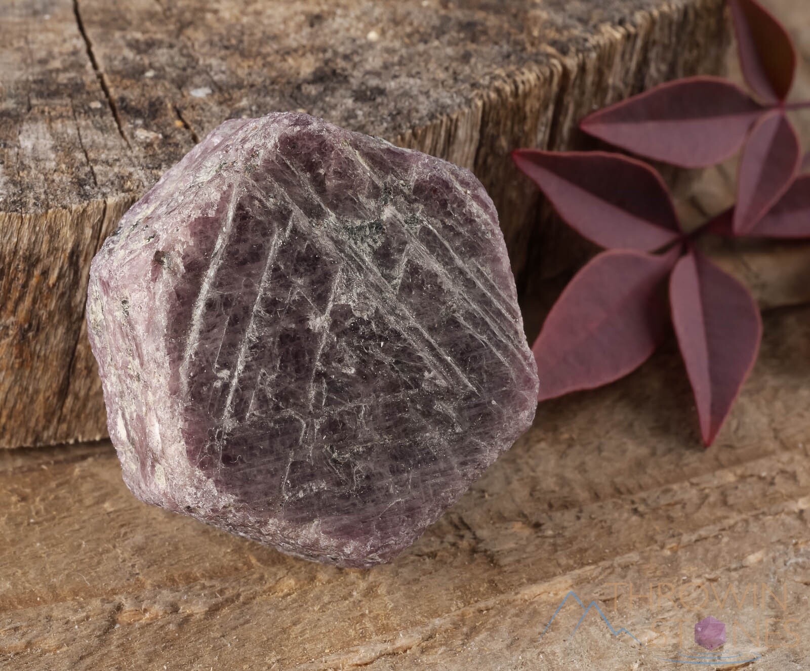 RUBY Raw Crystal – Record Keeper, Corundum, Hexagon – Birthstone, Stone, E0063