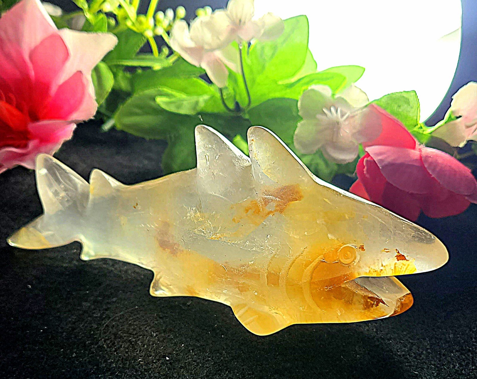 X Large 5.6″ Unique 252g Golden Healer Quartz Shark Sea Crystal Carving