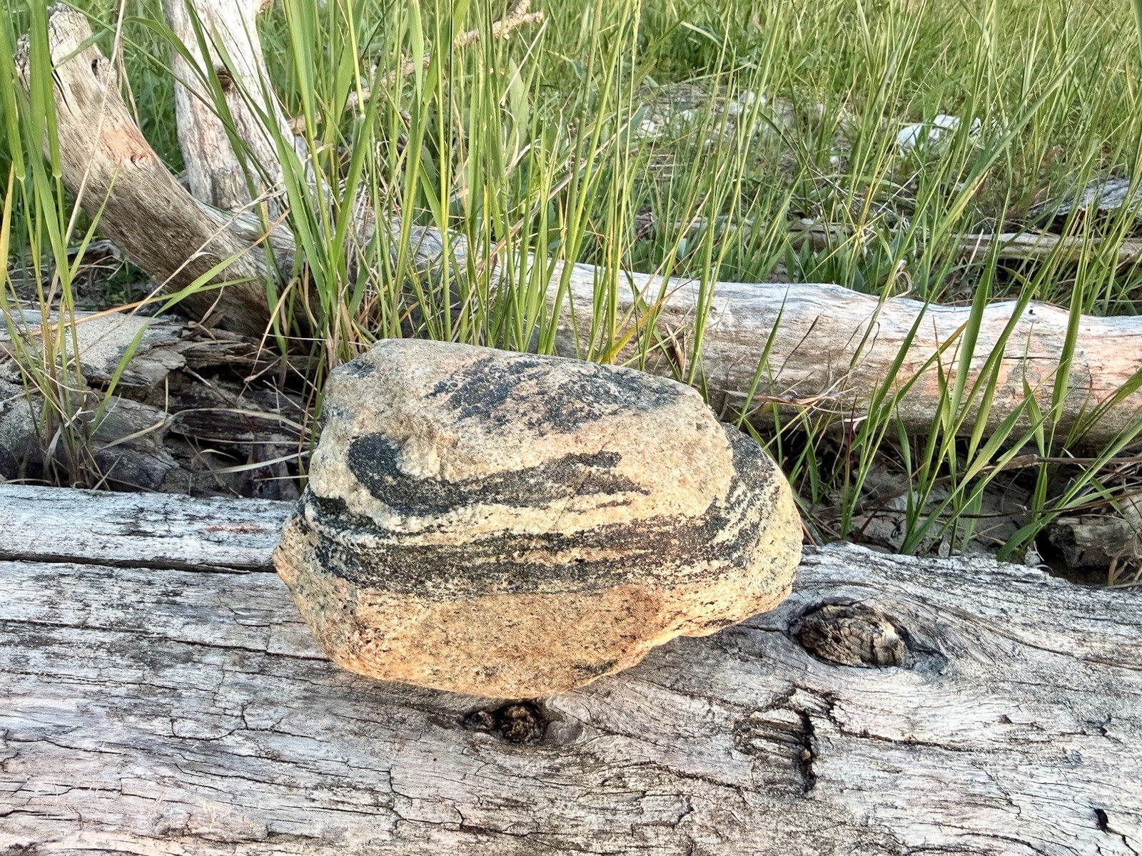 Natural Lake Michigan Rock Granite Large LOOK! 👀 3lb+ READ CAREFULLY