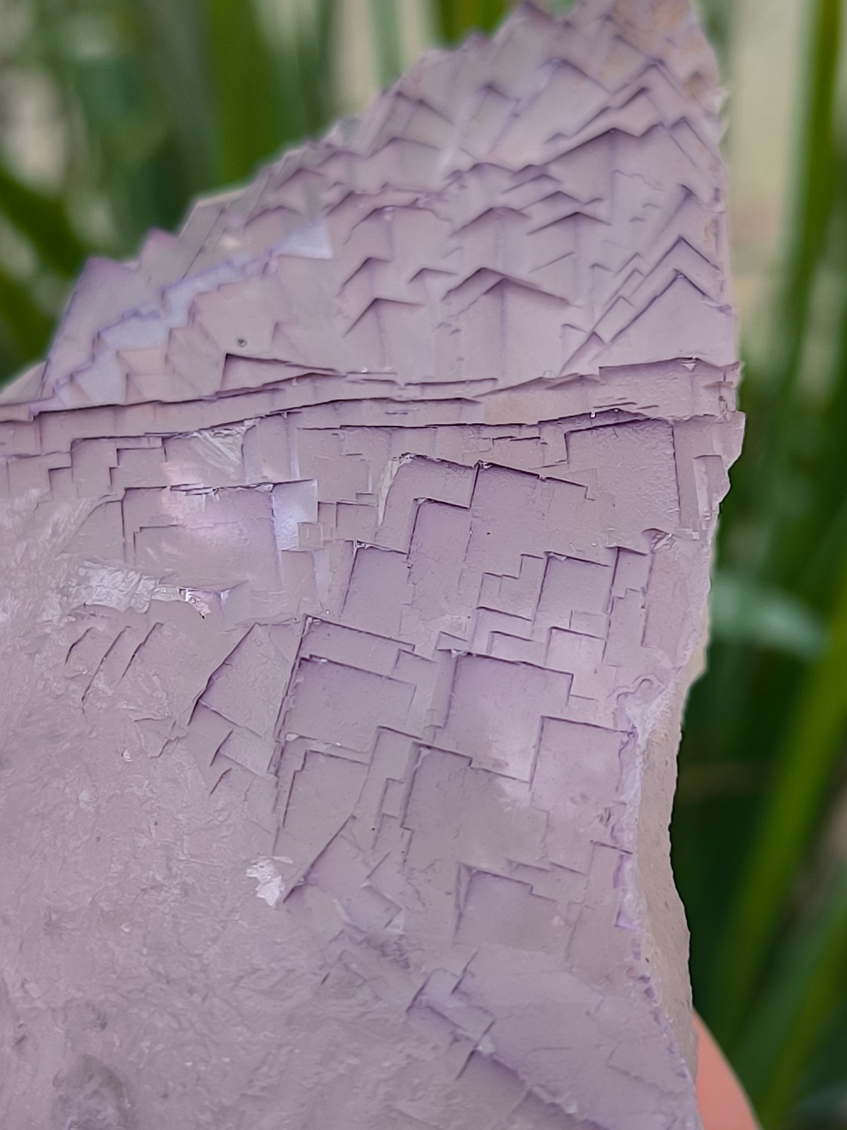630g Natural Step Wise Cubic Fluorite Purple Lining Crystals Mineral Specimen