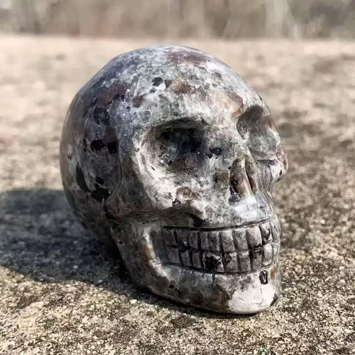 2″Natural Yooperlite Crystal Skull Fluorescent Sodalite Quartz Carving Decor