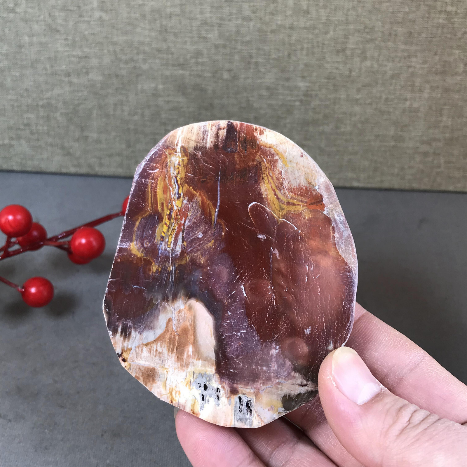 92mm natural Beautiful Petrified Wood Crystal Slice mineral specimen 266g A5424