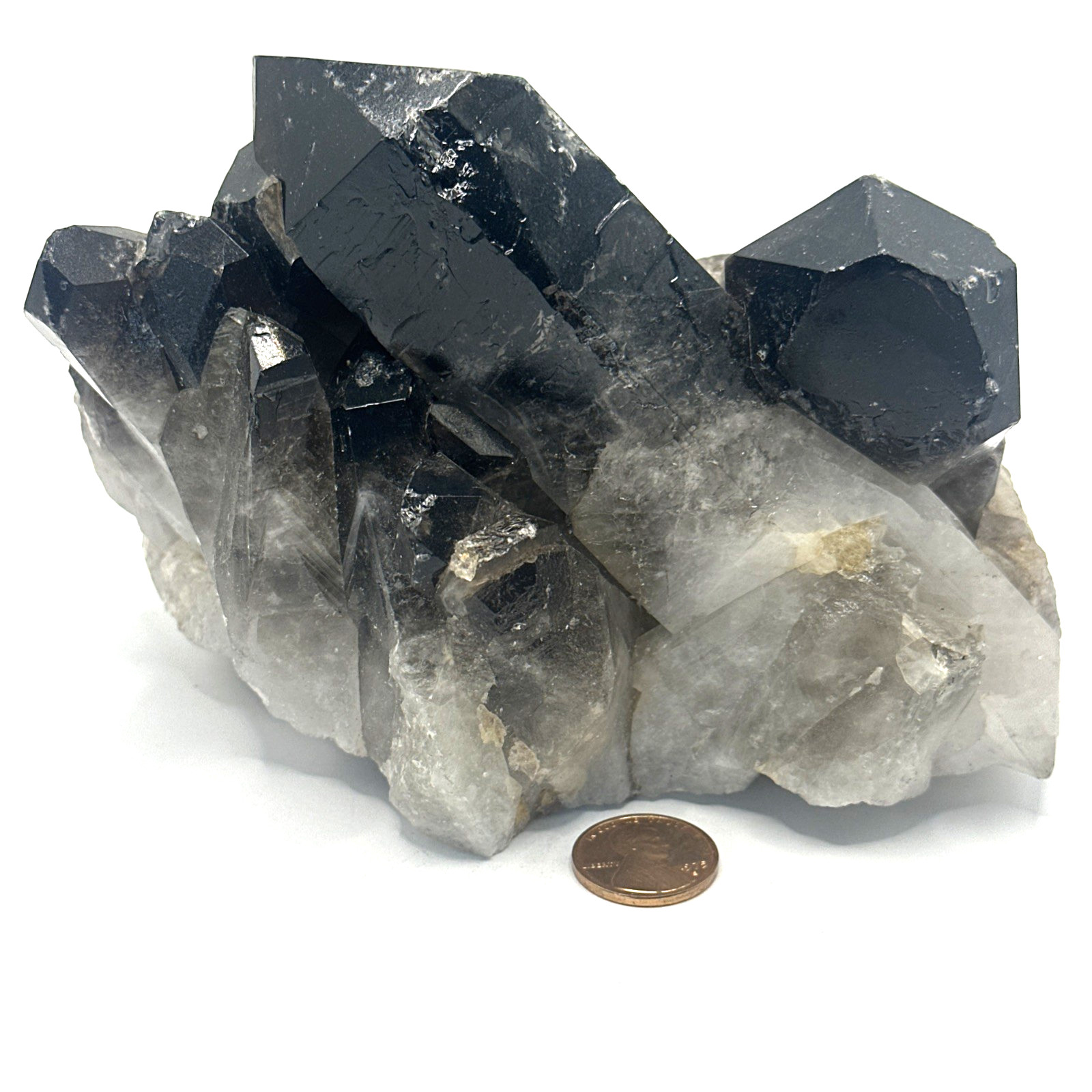 AMAZING Smokey Black Quartz Crystal Cluster Specimen 1354 Grams