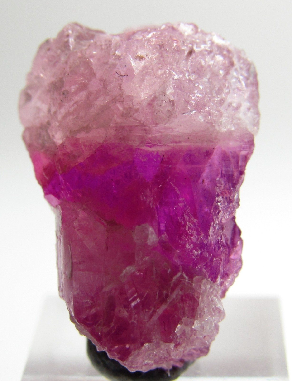 DRAMATIC STUNNING VIBRANT GEM PEZZOTTAITE BERYL CRYSTAL!!! MADAGASCAR NEW FIND