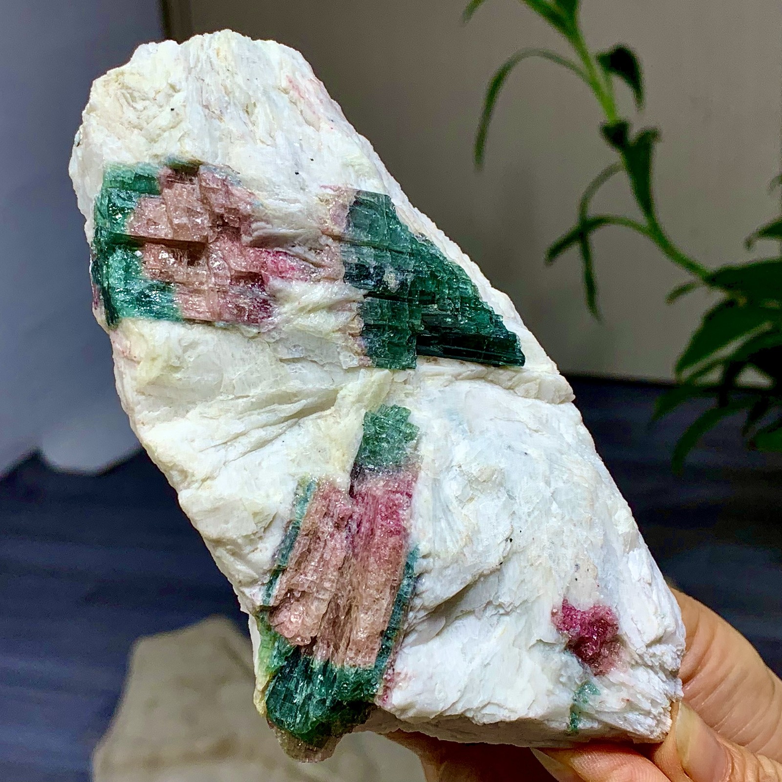 449G Natural pink-green tourmaline quartz crystal cluster mineral specimen