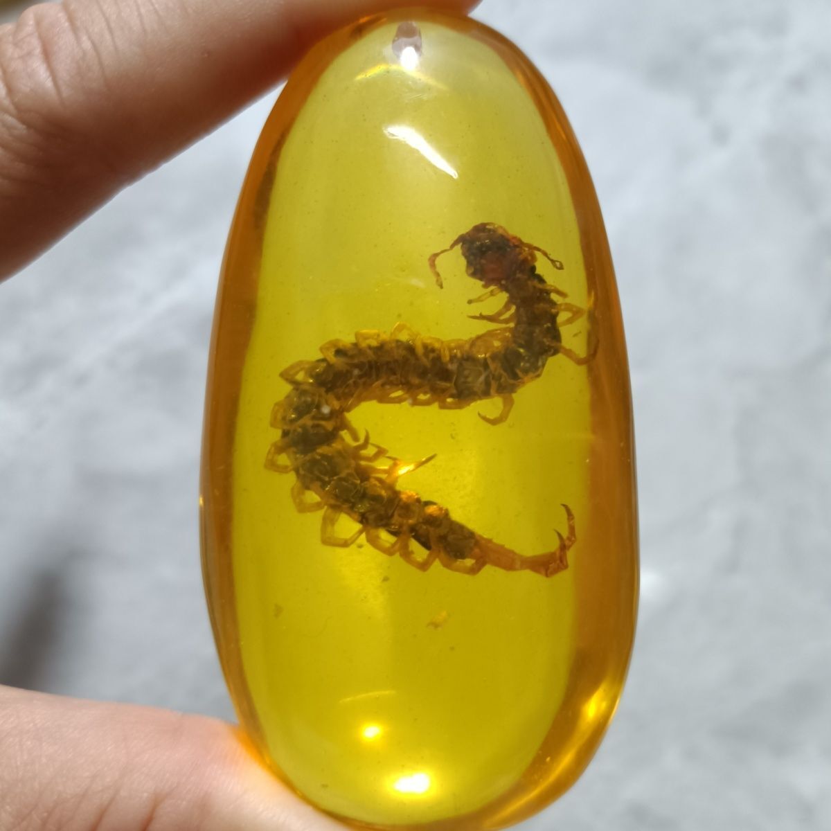 Insect Amber Pendant Centipede Long Sweater Necklace for Men Women Jewelry