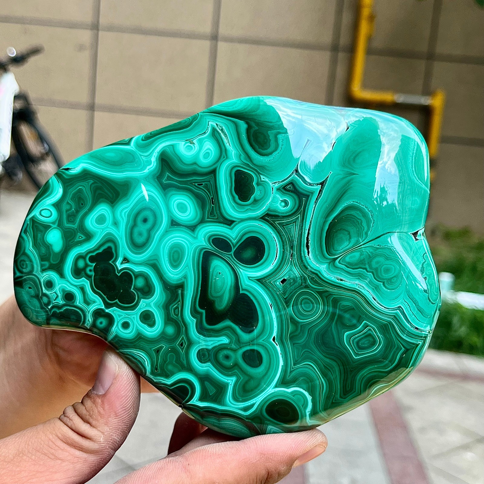 2.2 lb Malachite Quartz Freeform One Side Polished Natural Crystal Specimen