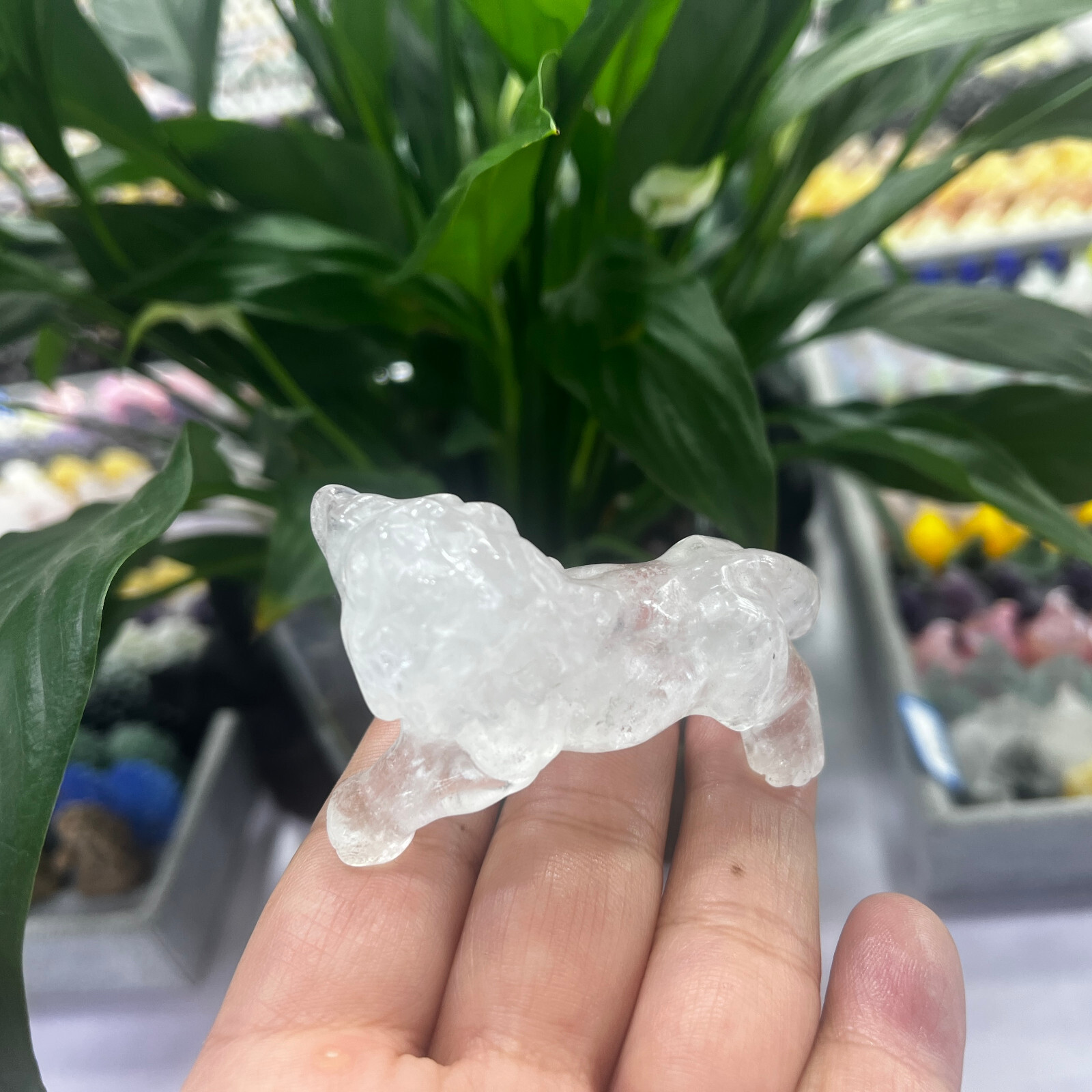2″Natural clear Quartz Hand Carved Lion Skull Crystal Healing GEM gift decor 1pc