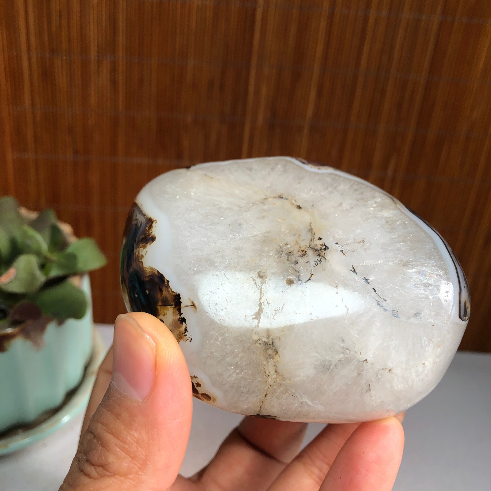 83mm Natural aquatic plants agate pretty Crystal specimens 427g A1482