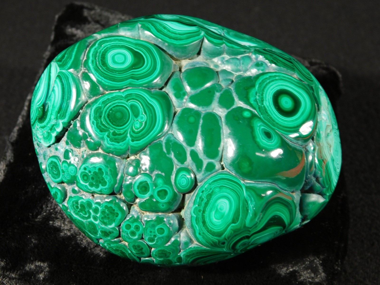 BIG! Polished Deep GREEN Malachite STALACTITE or Stalagmite w/Stand Congo 603gr