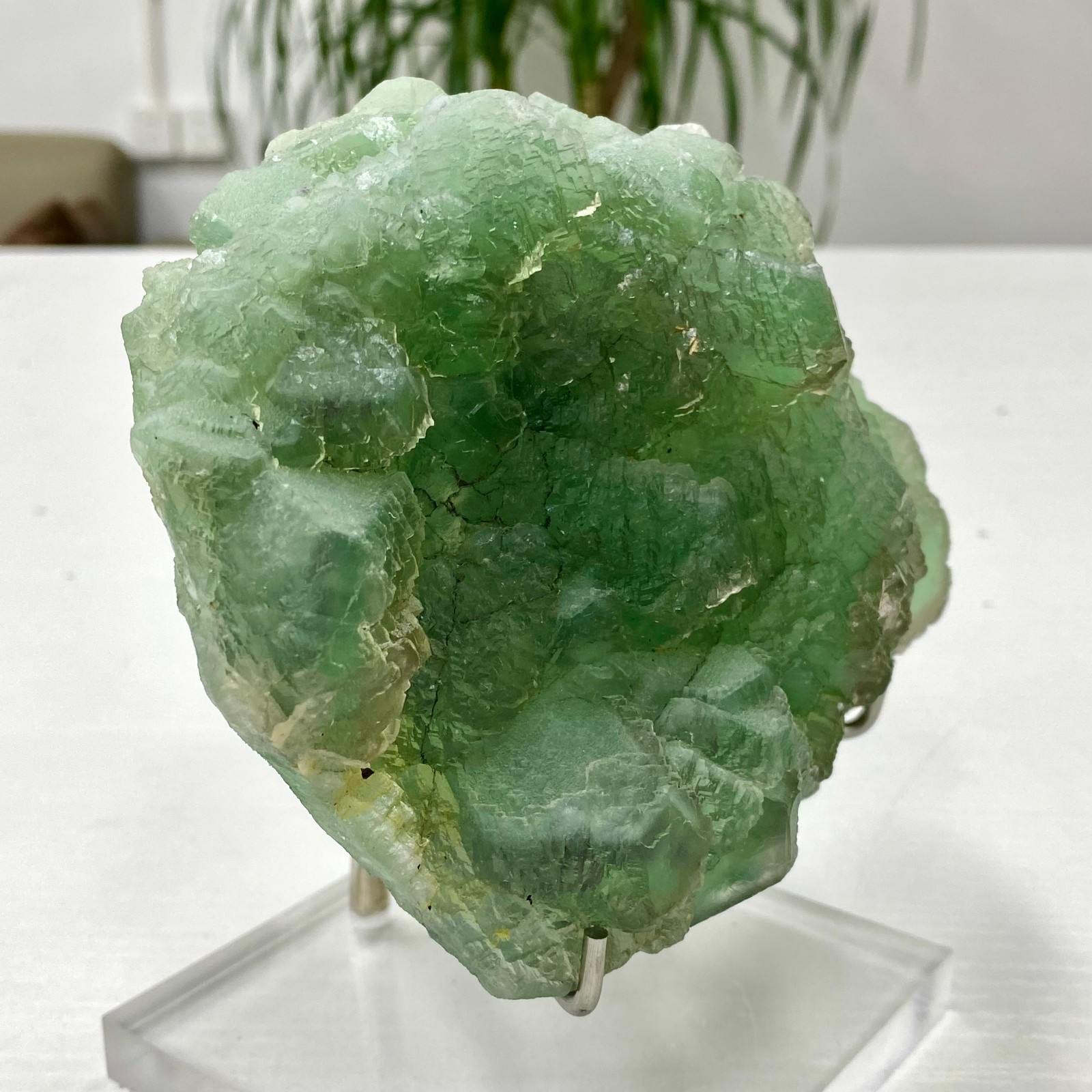 3.64LB Natural transparent green cubic fluorite mineral crystal sample/China