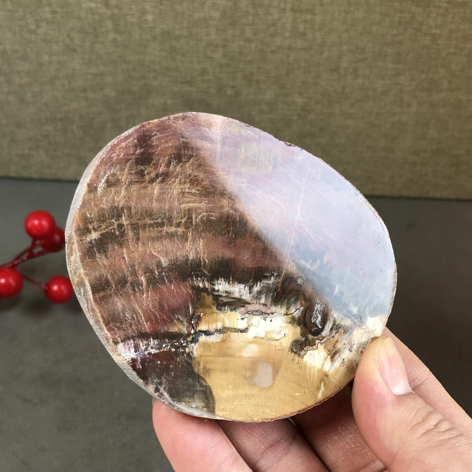 97mm natural Beautiful Petrified Wood Crystal Slice mineral specimen 247g A5426