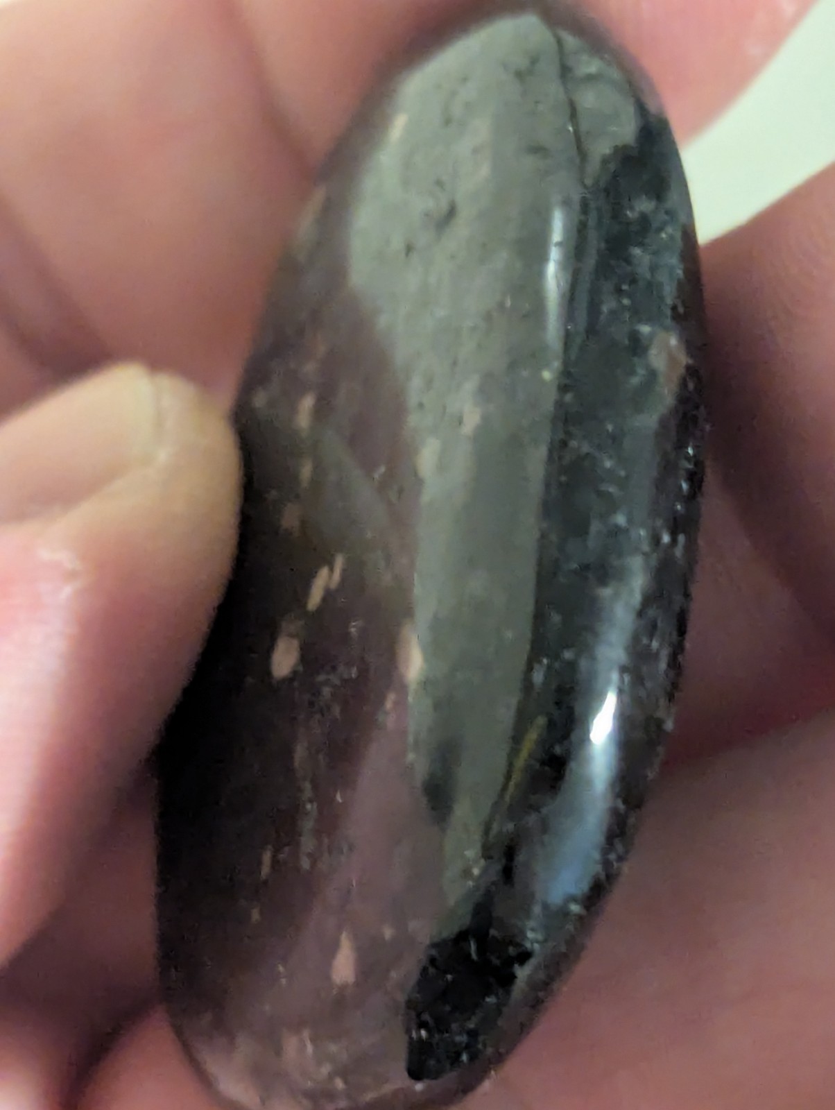 Flat Round Ovular sparkling Palm Stone